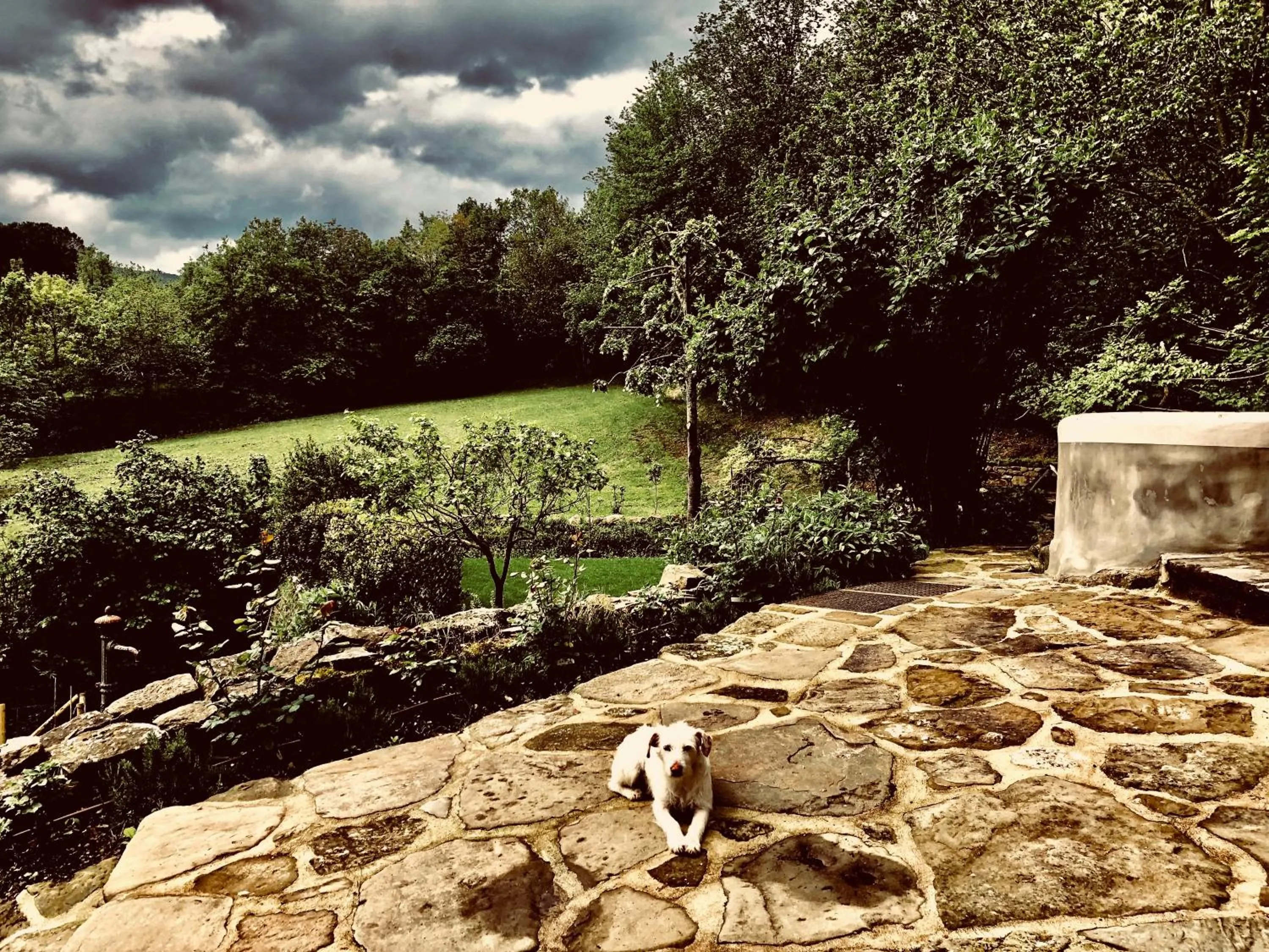 Pippo's Little Resort