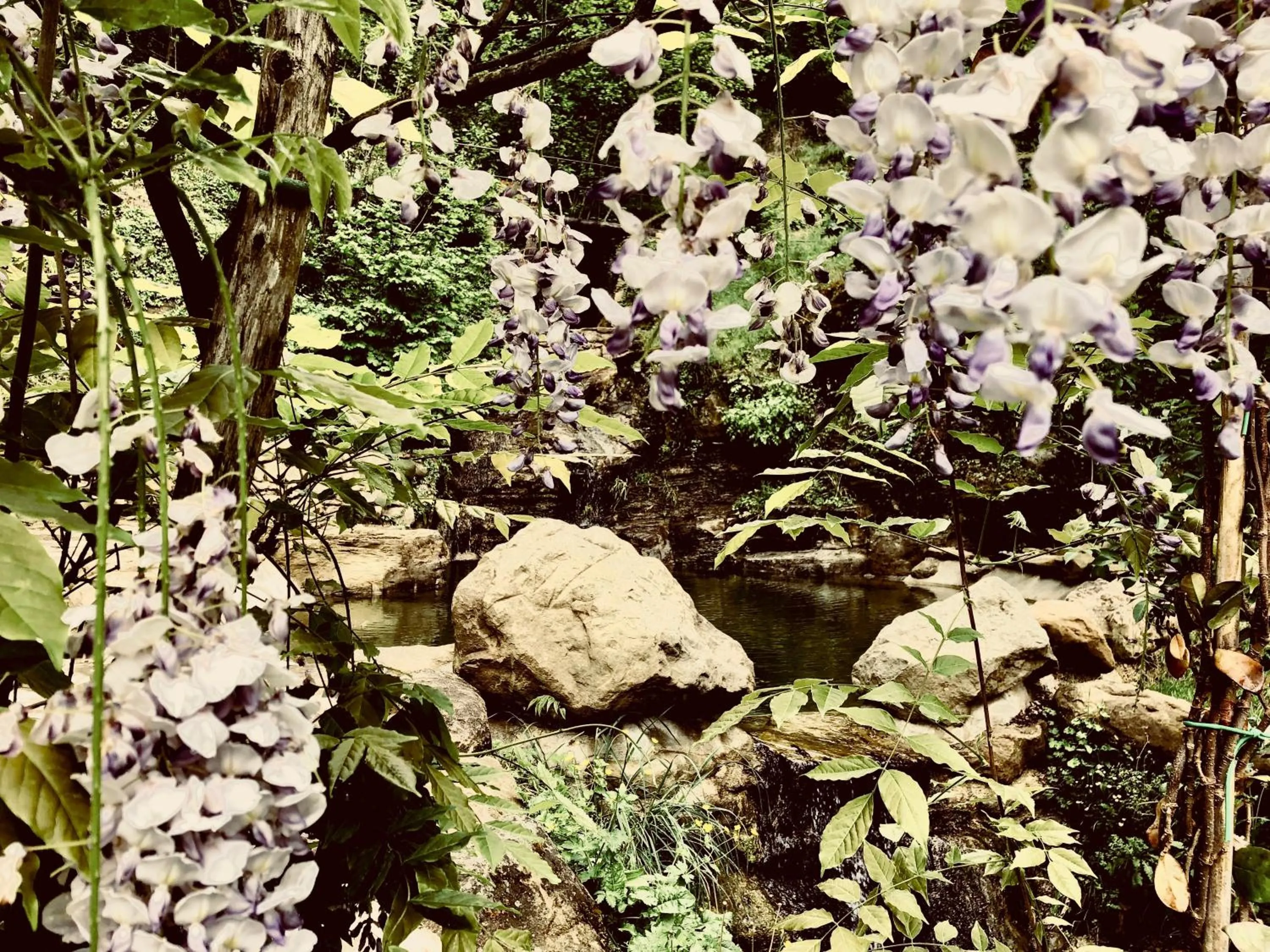 Swimming pool in Pippo's Little Resort