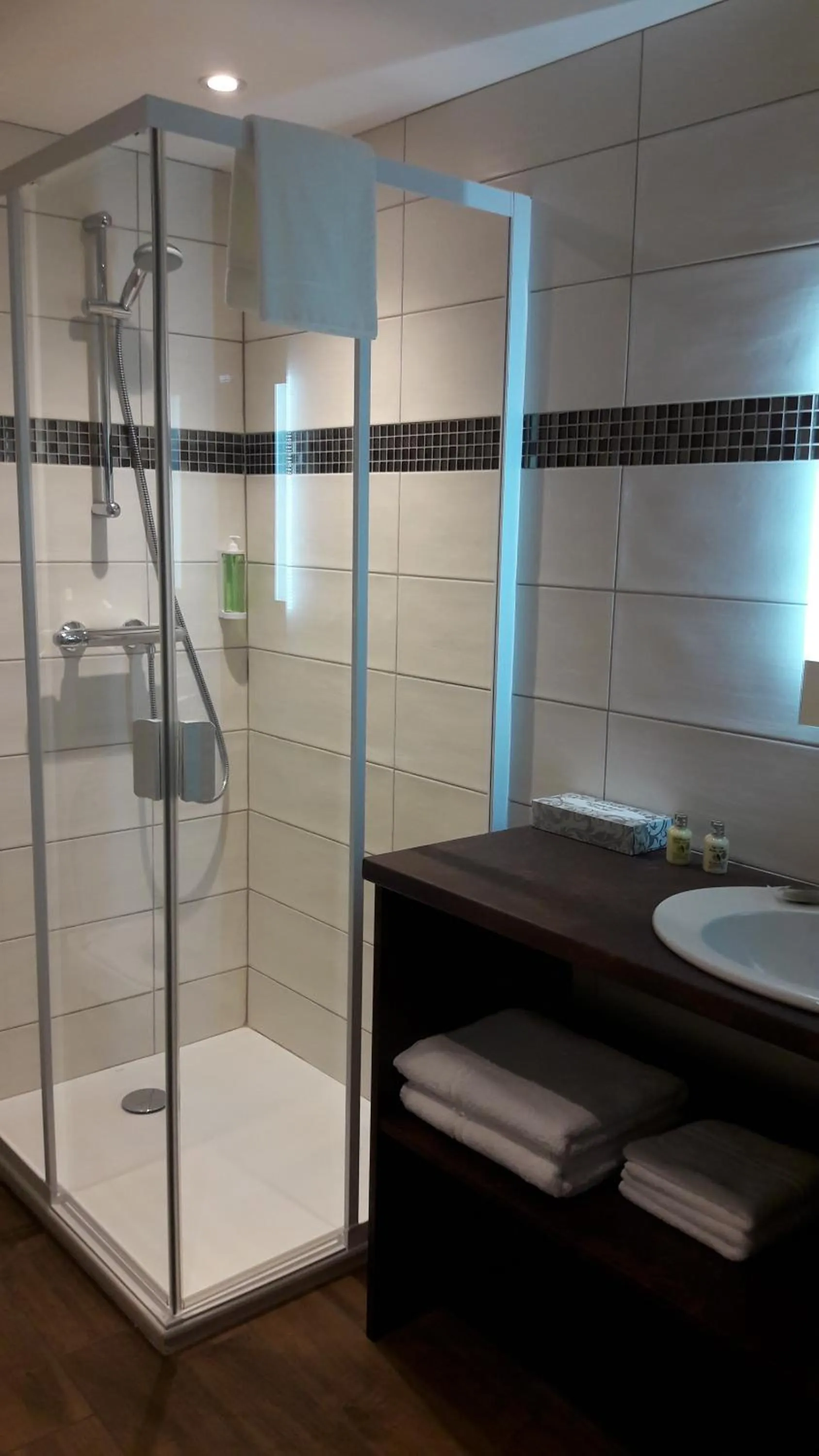 Shower in Hotel L'alpin