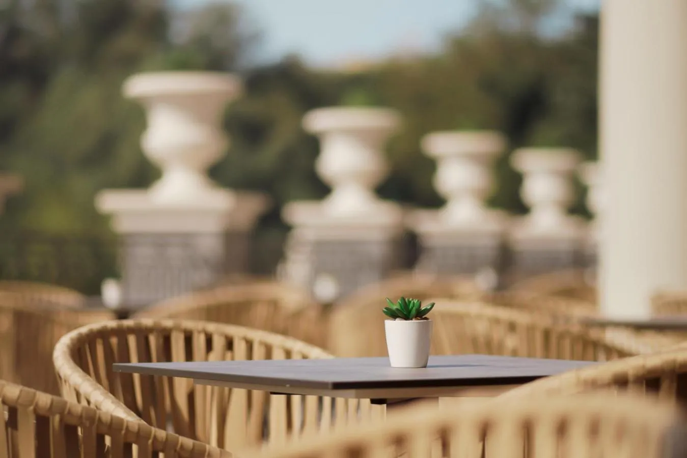 Garden in Astor Garden Hotel