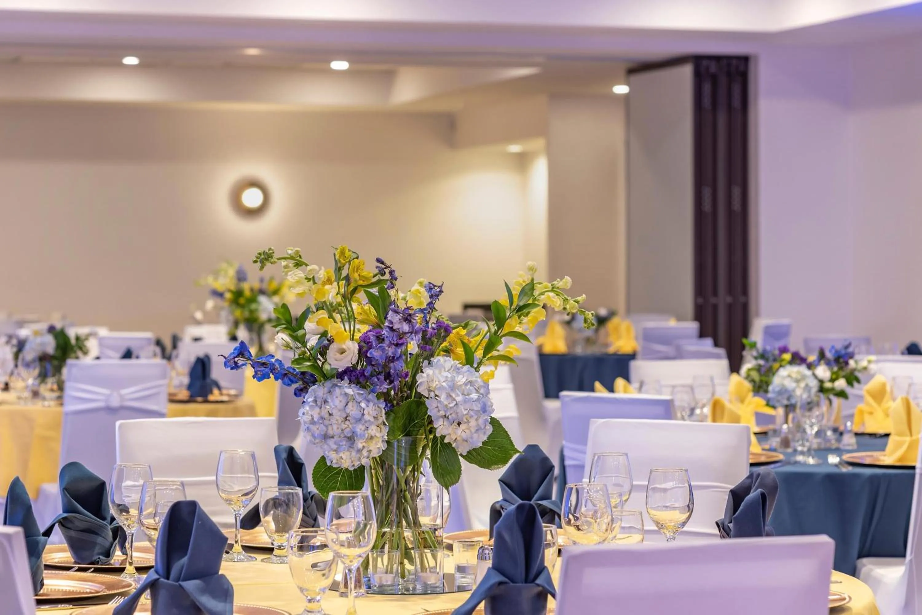 Banquet/Function facilities in Sheraton Suites Old Town Alexandria