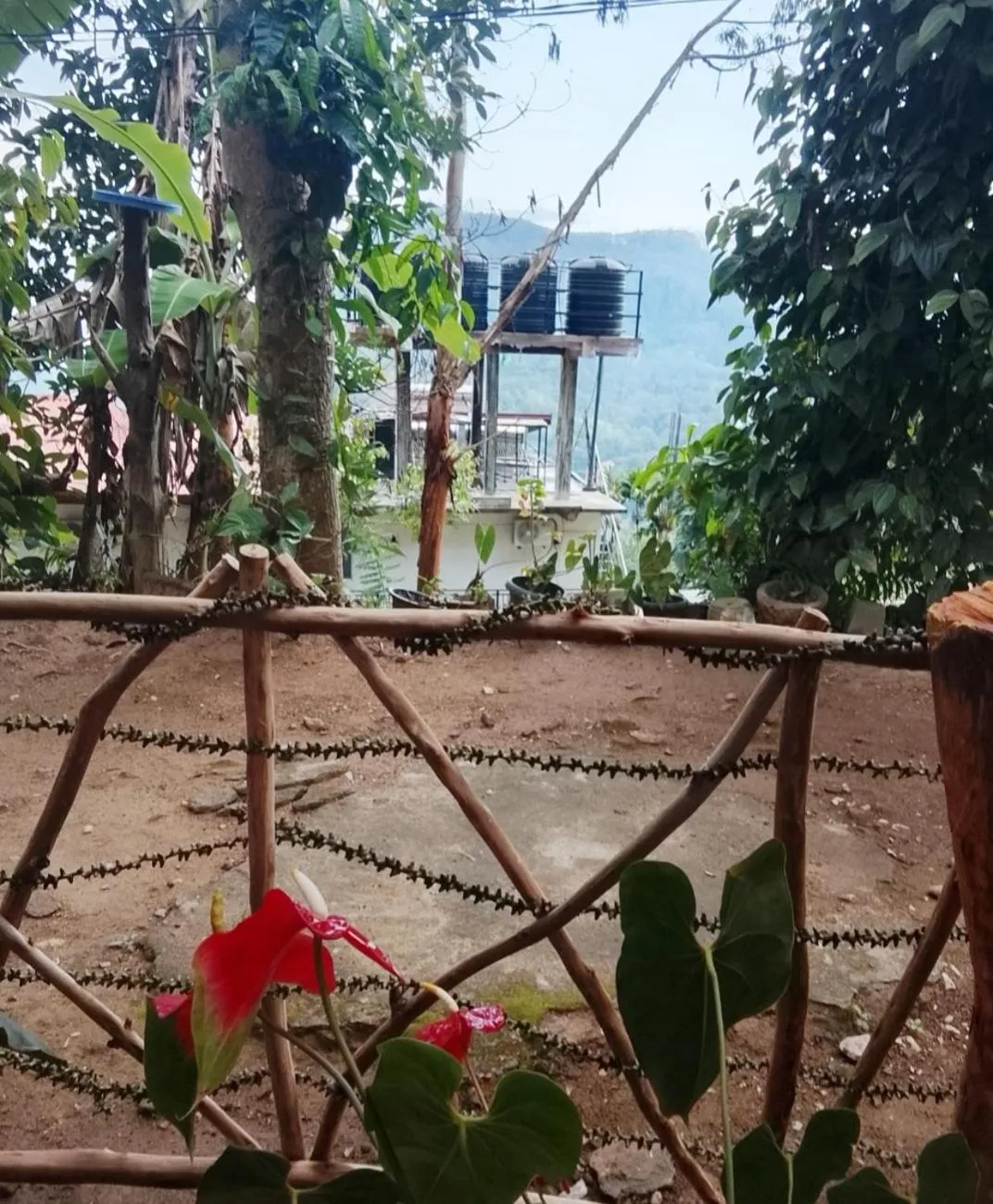 Garden view in Malithis lodge