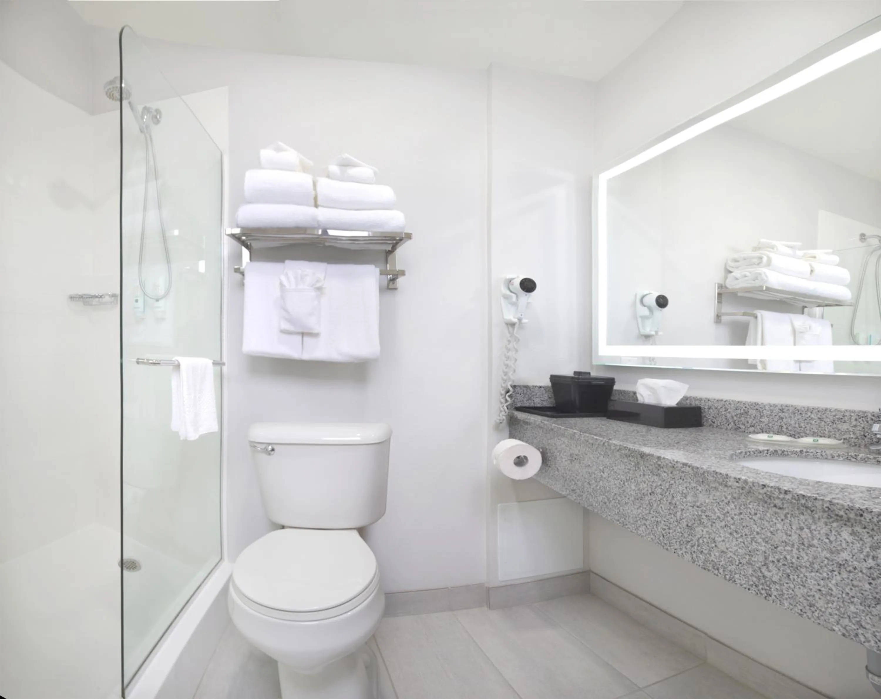 Shower in Quality Inn & Suites