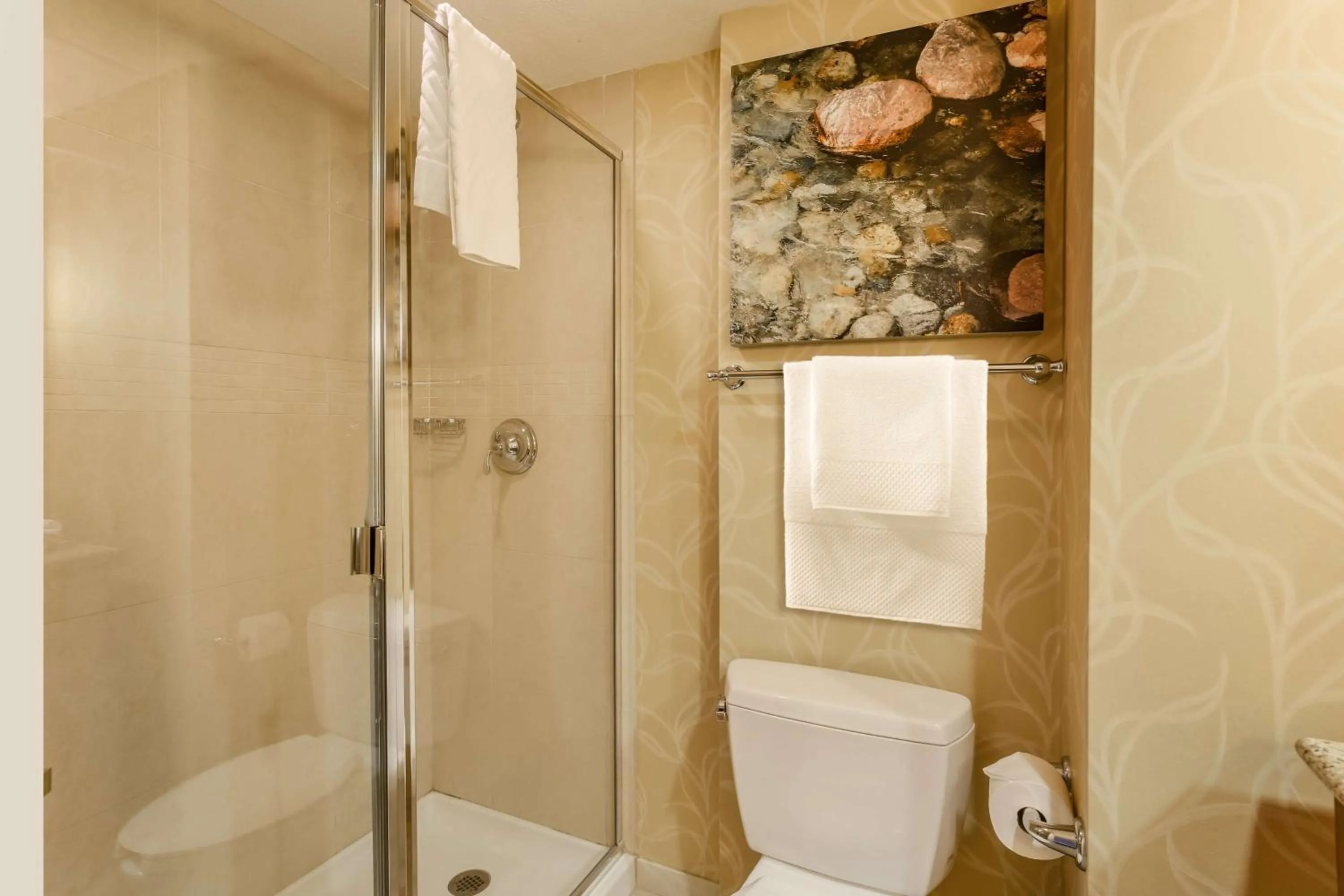 Bathroom in Hilton Branson Convention Center