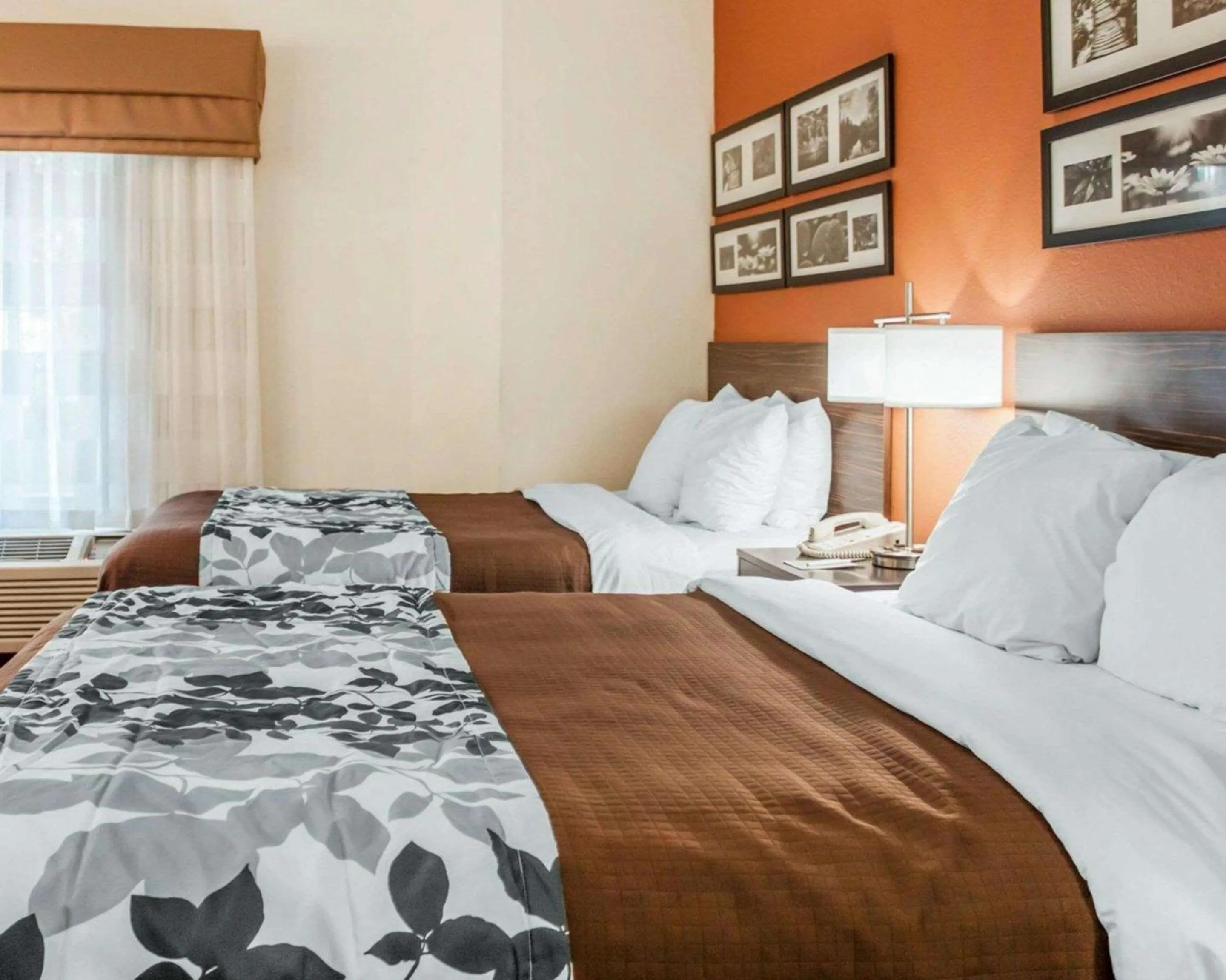 Photo of the whole room, Bed in Sleep Inn North Charleston Ashley Phosphate