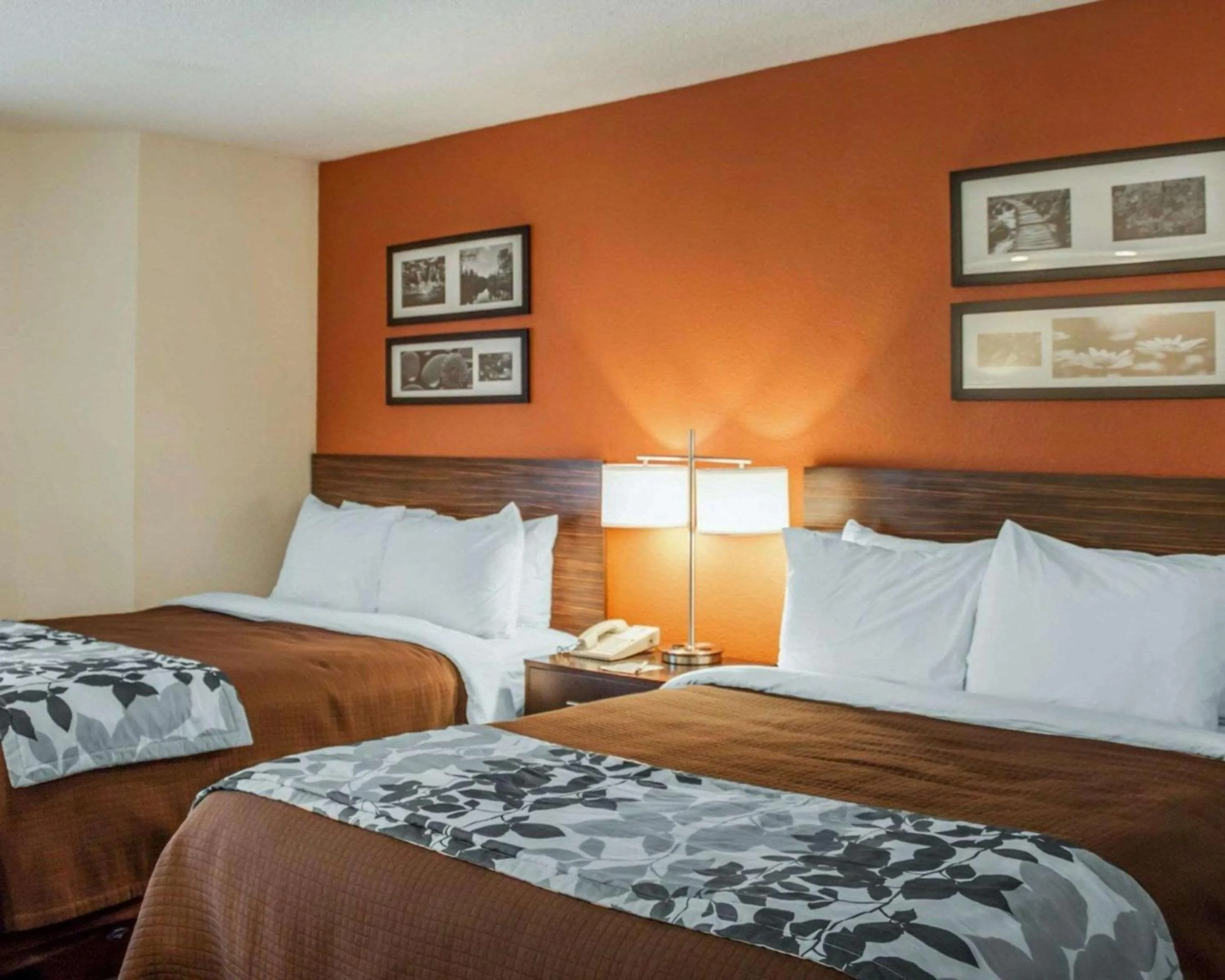 Photo of the whole room, Bed in Sleep Inn North Charleston Ashley Phosphate