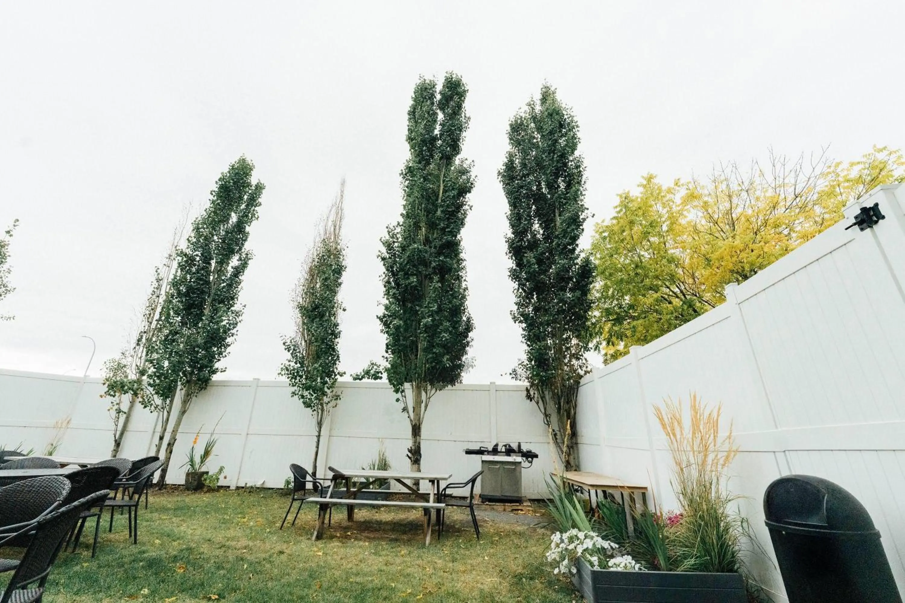 BBQ facilities in Super 8 by Wyndham Grande Prairie