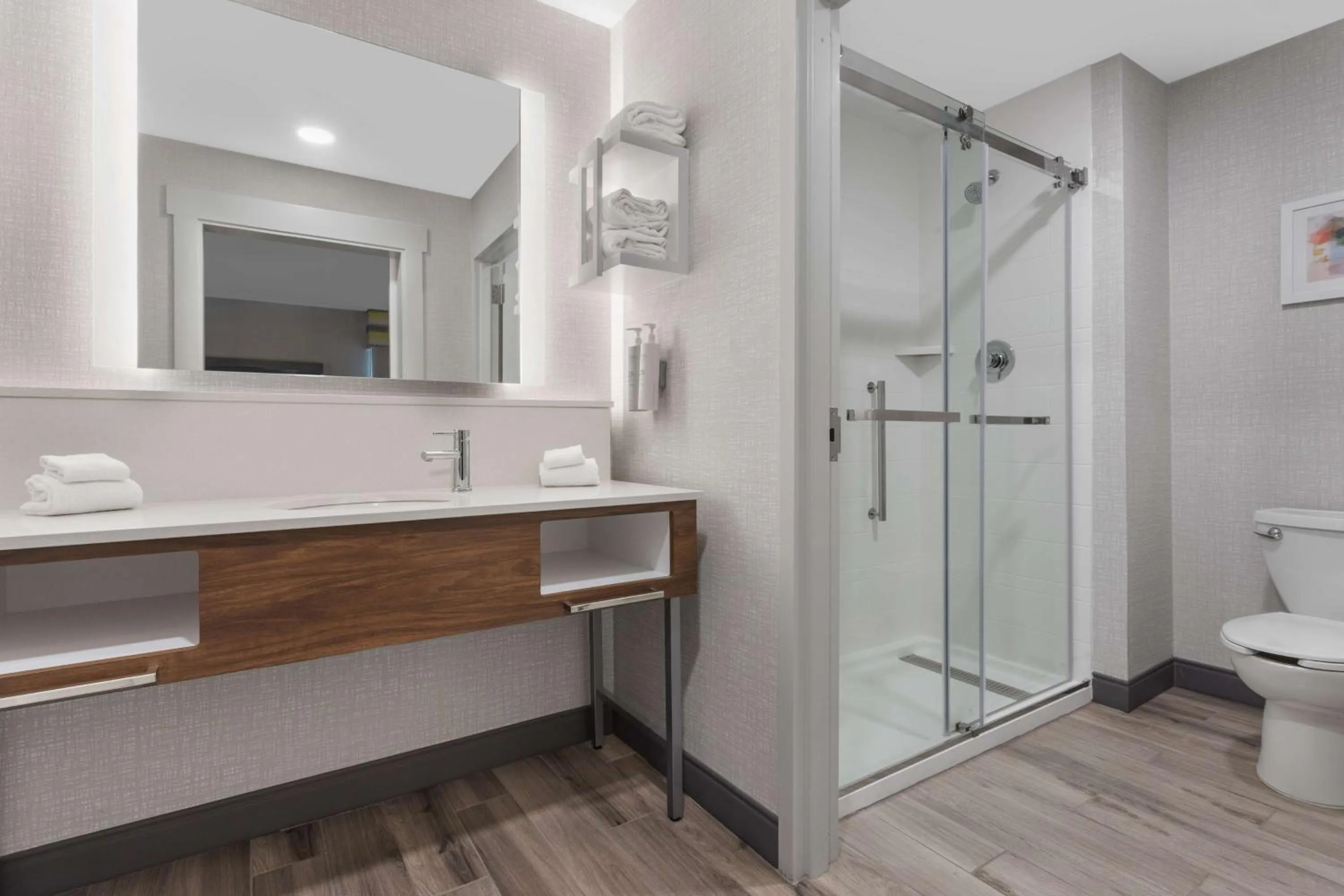 Bathroom in Hampton Inn and Suites - Lincoln Northeast