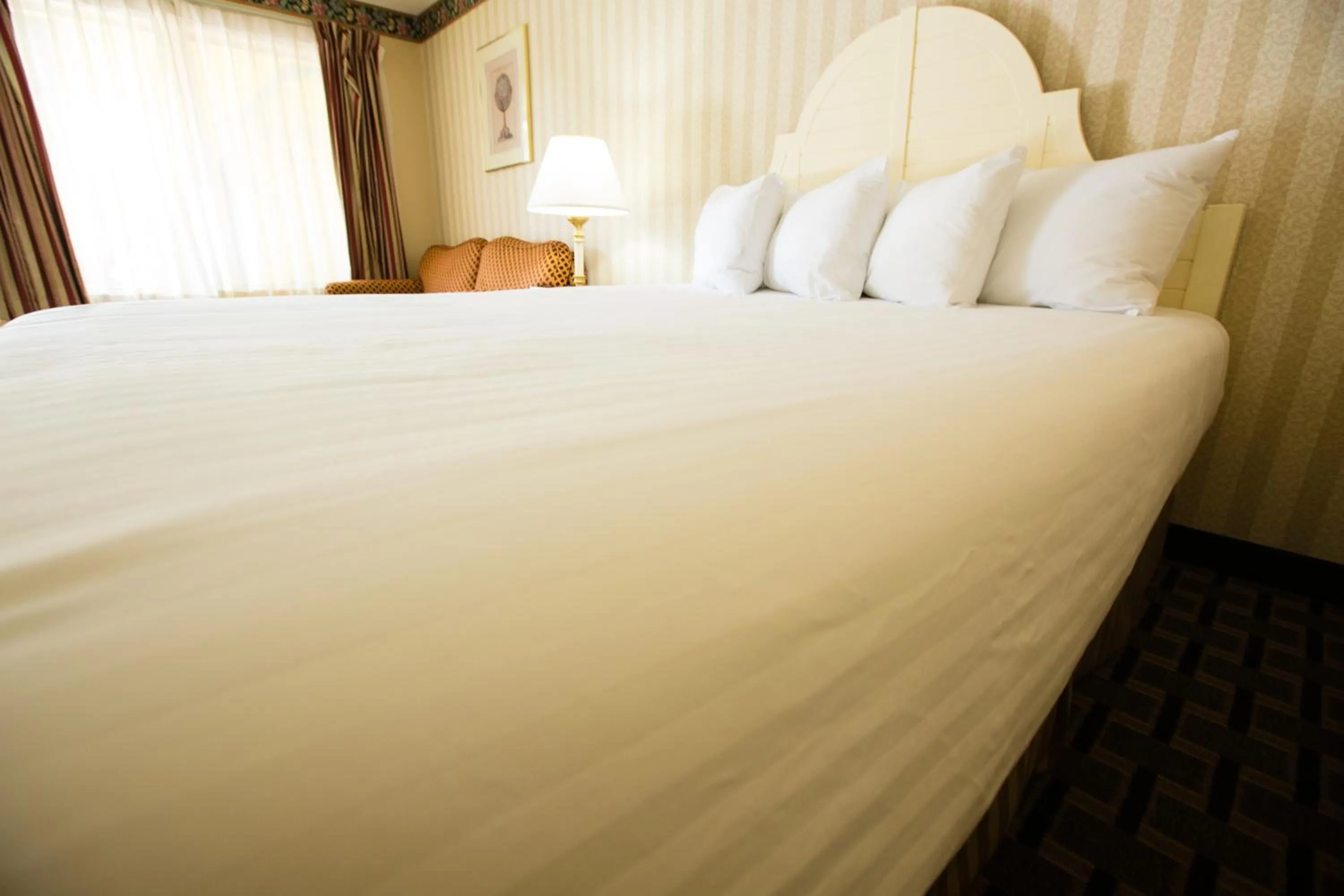 Bed in Anaheim Carriage Inn