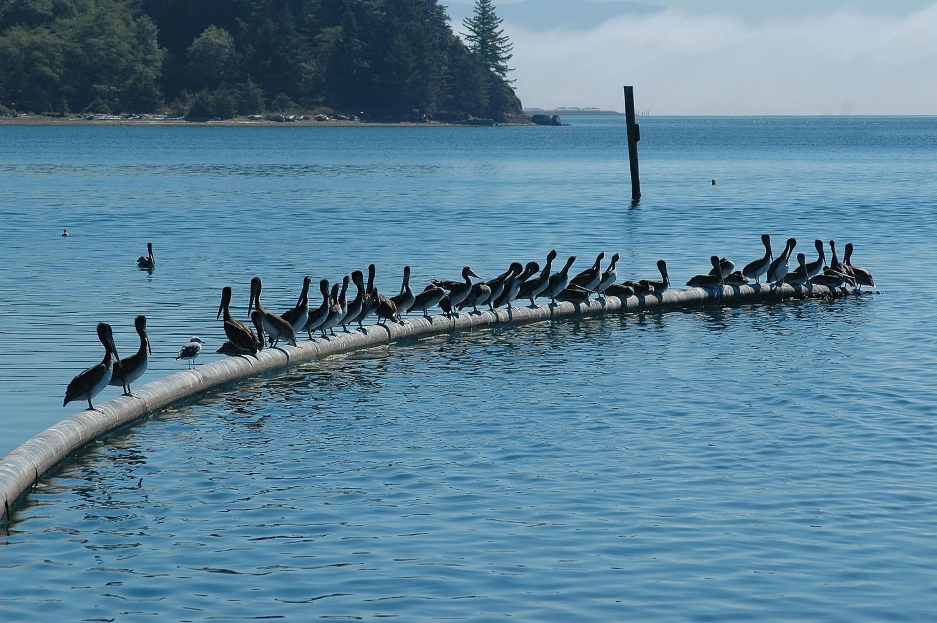 Area and facilities in The Hotel Garibaldi