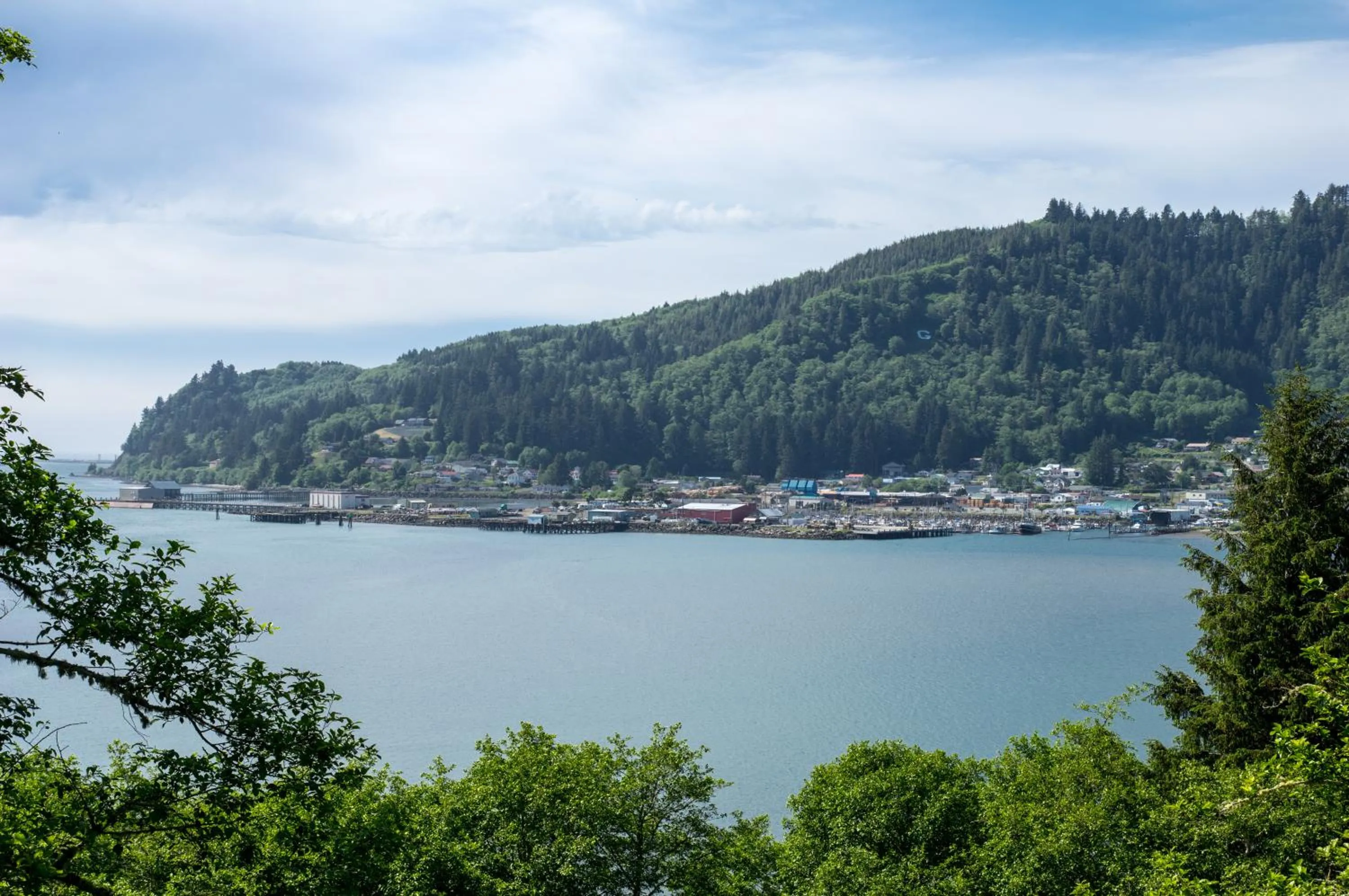 Neighbourhood in The Hotel Garibaldi