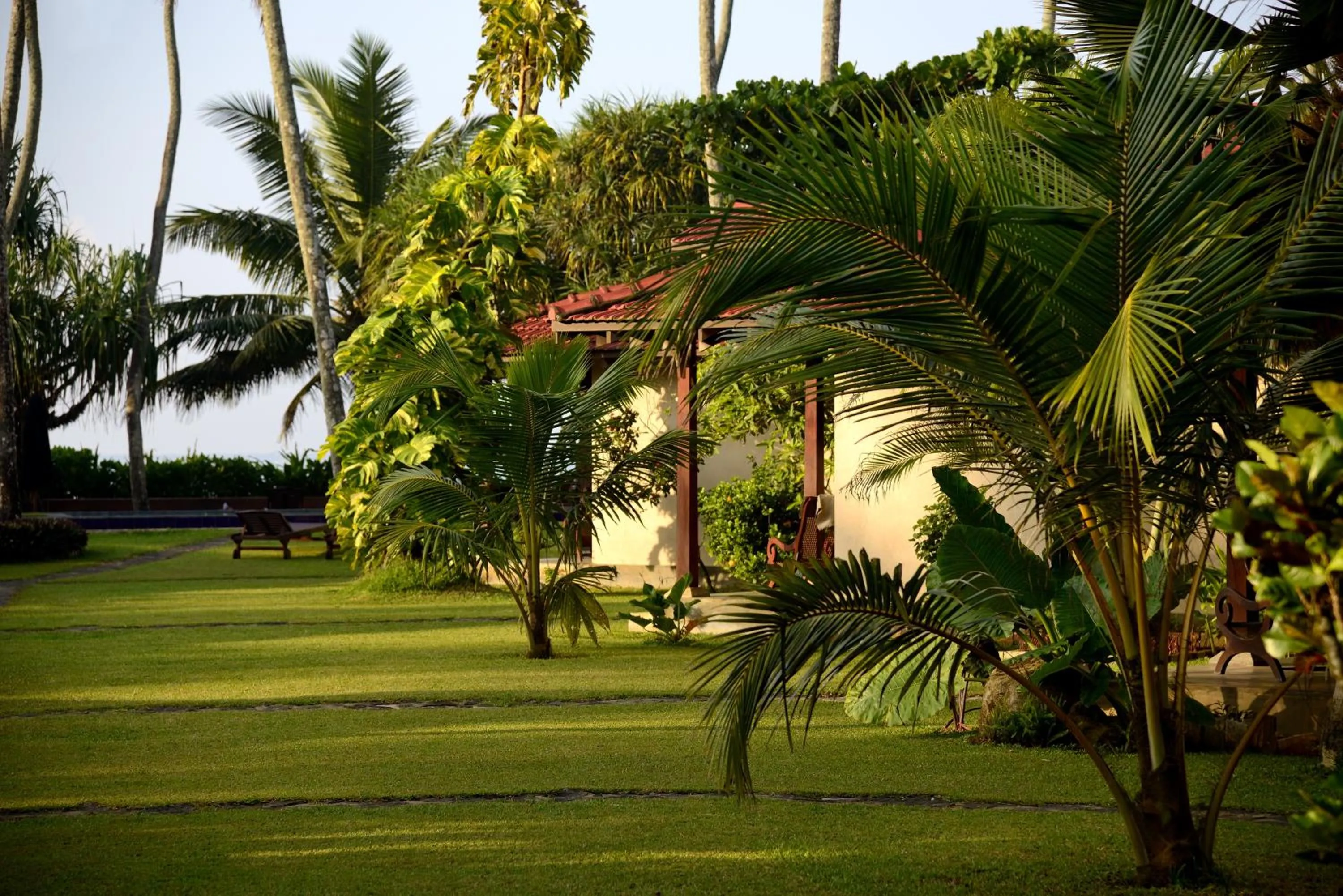 Garden in Weligama Bay Resort