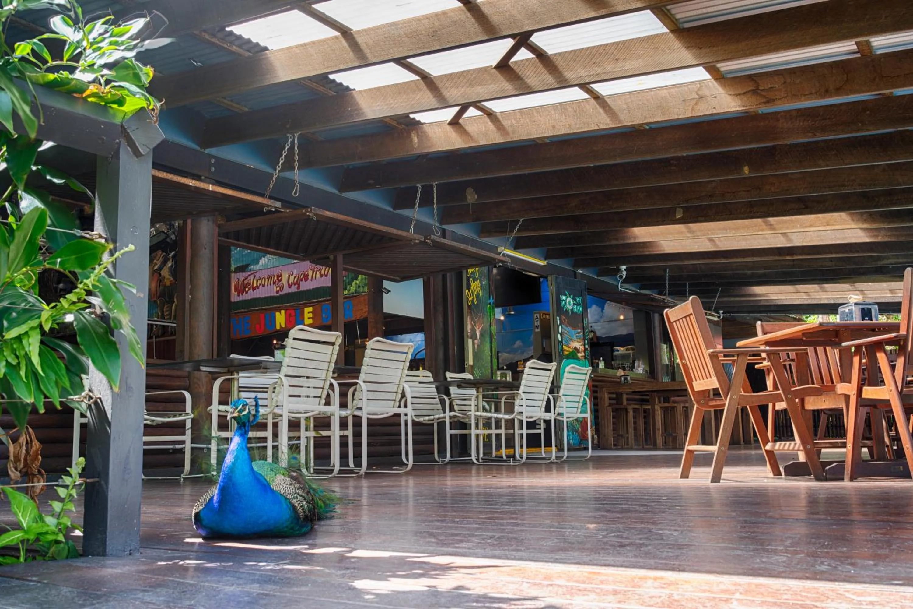 Restaurant/places to eat in PK's Jungle Village