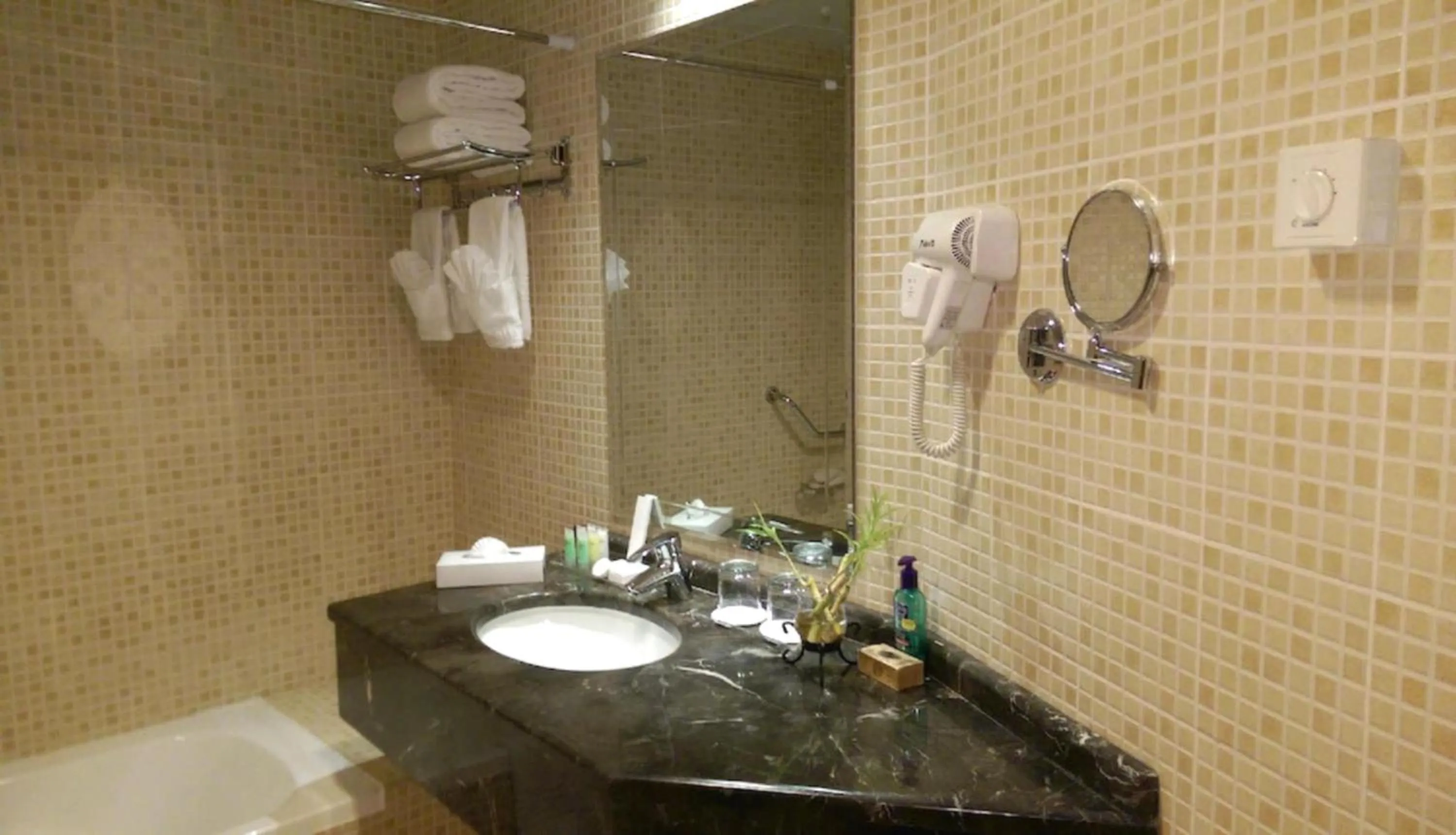 Bathroom in Aryana Hotel
