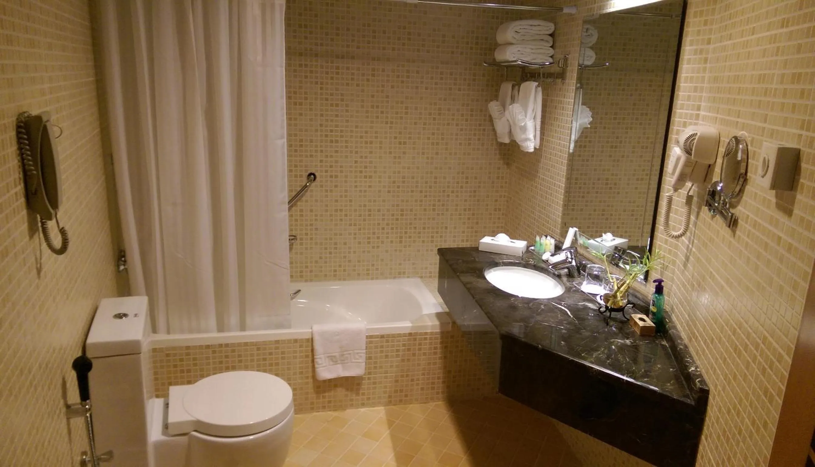 Bathroom in Aryana Hotel