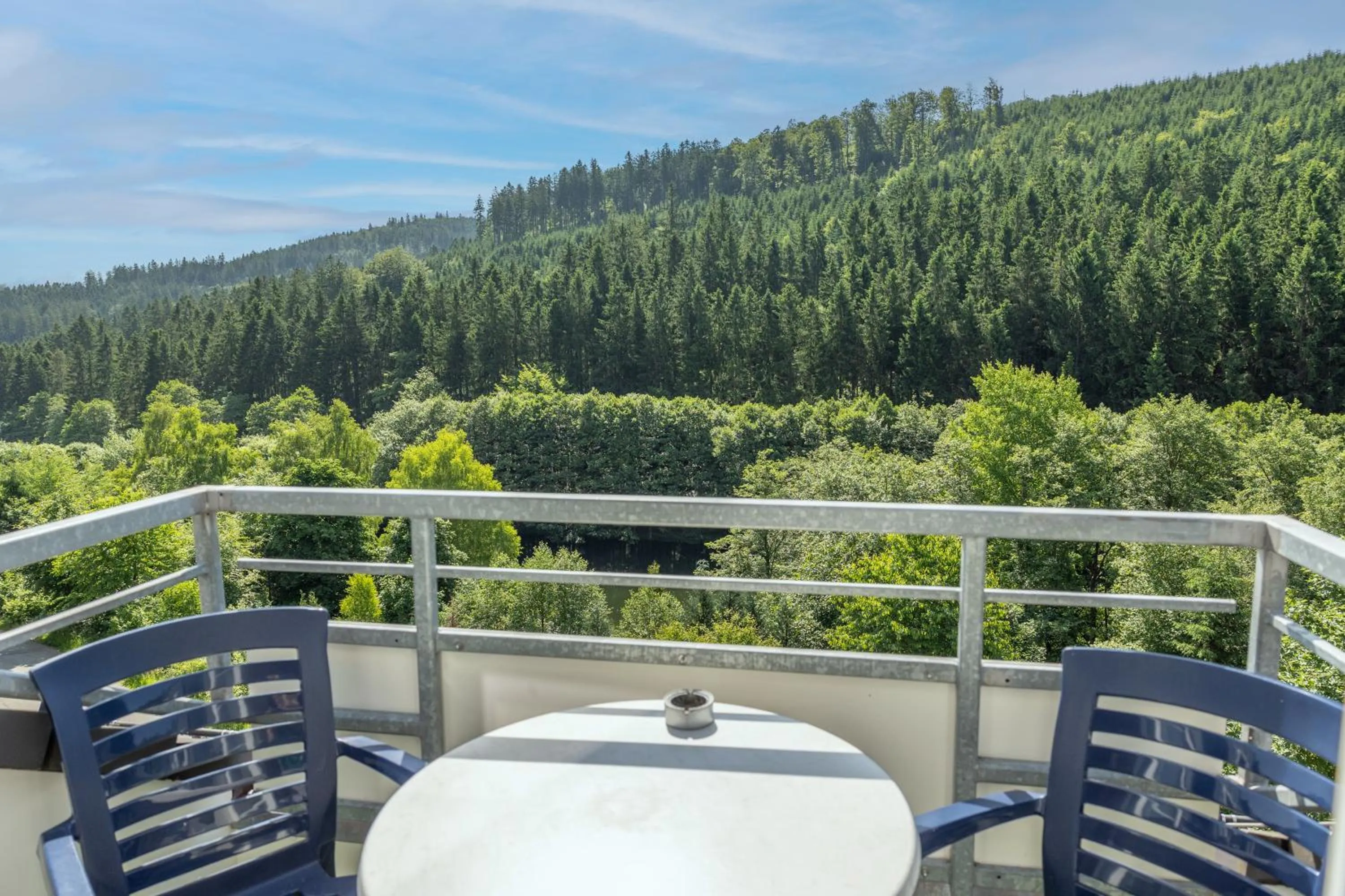 View (from property/room) in Waldhaus am See