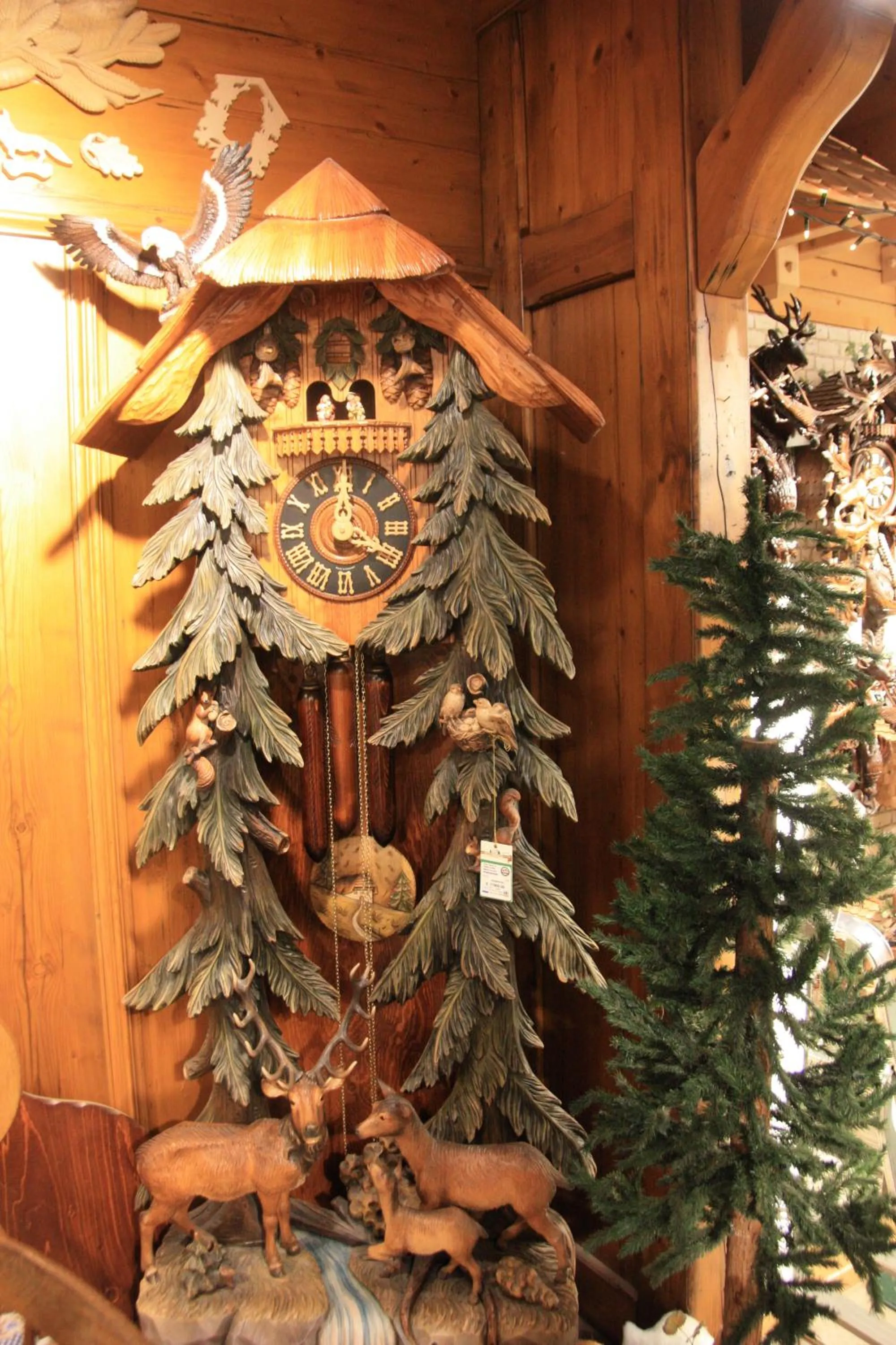 Activities in Hotel an der Sonne & Restaurant Zum Schneiger