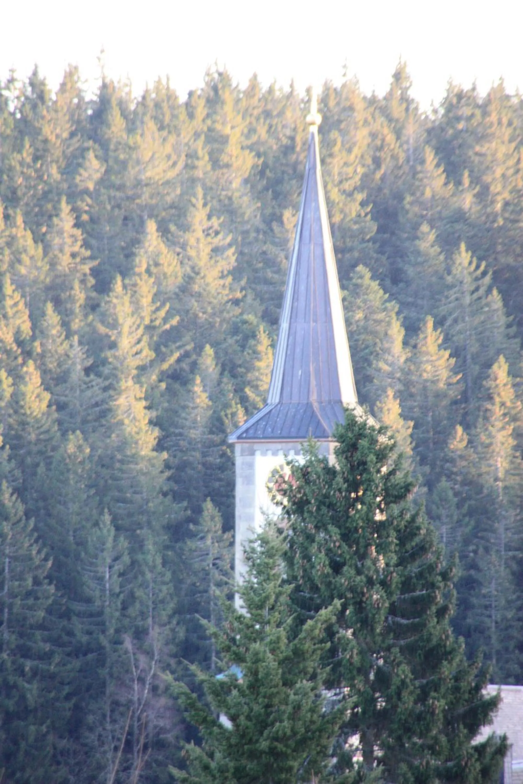 Day in Hotel an der Sonne & Restaurant Zum Schneiger