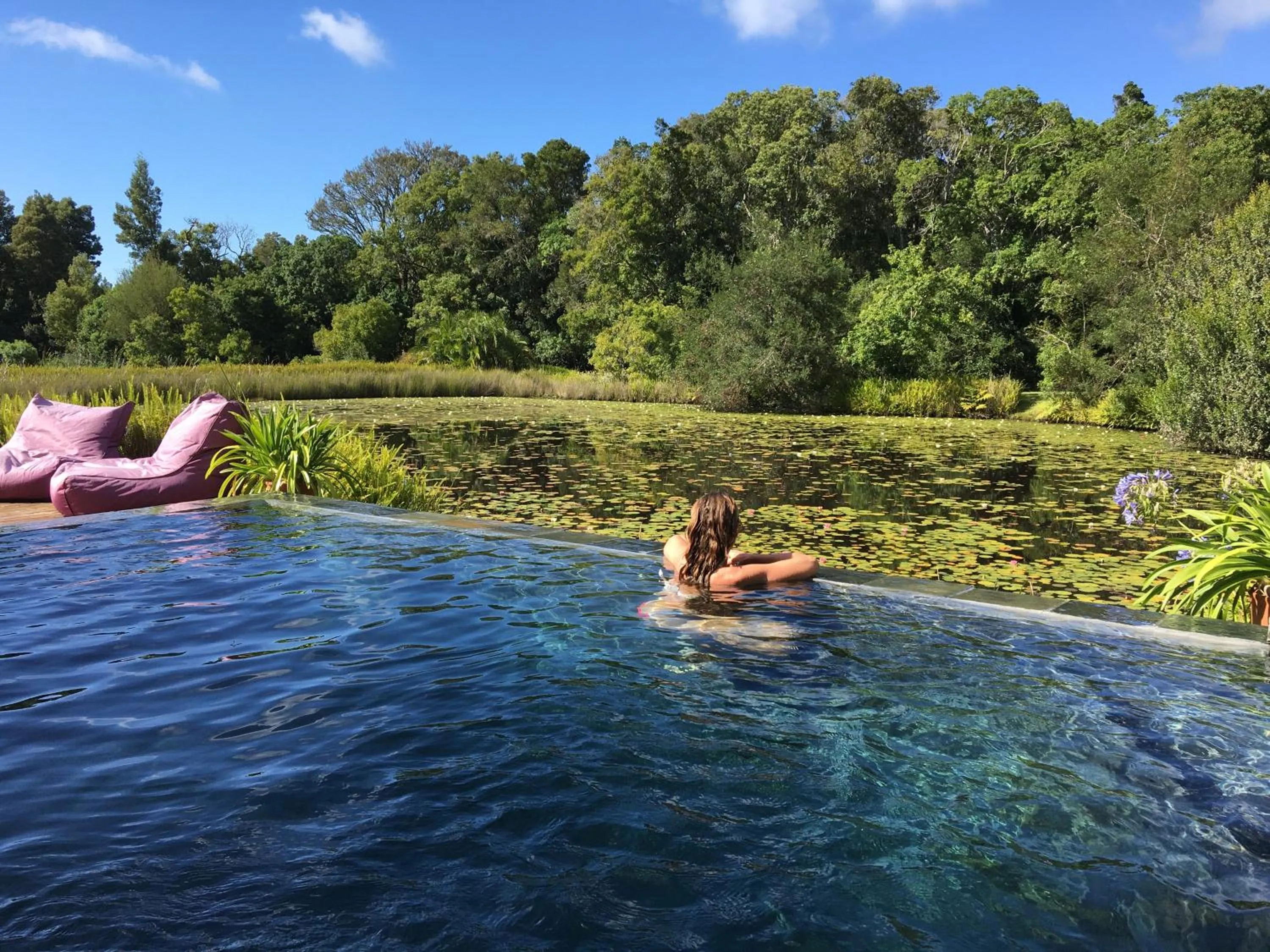 Garden view in Lily Pond Country Lodge