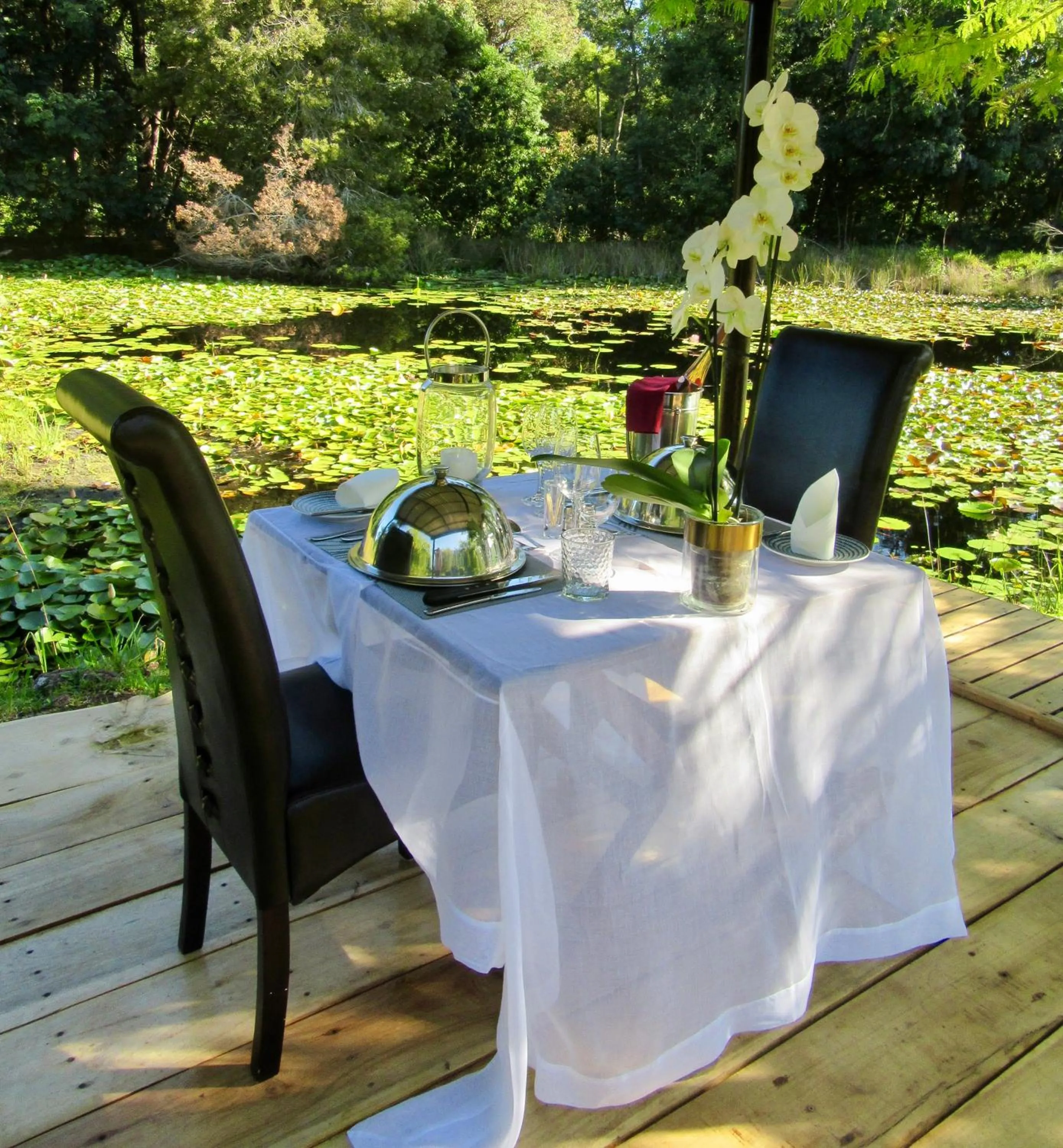 Dinner in Lily Pond Country Lodge