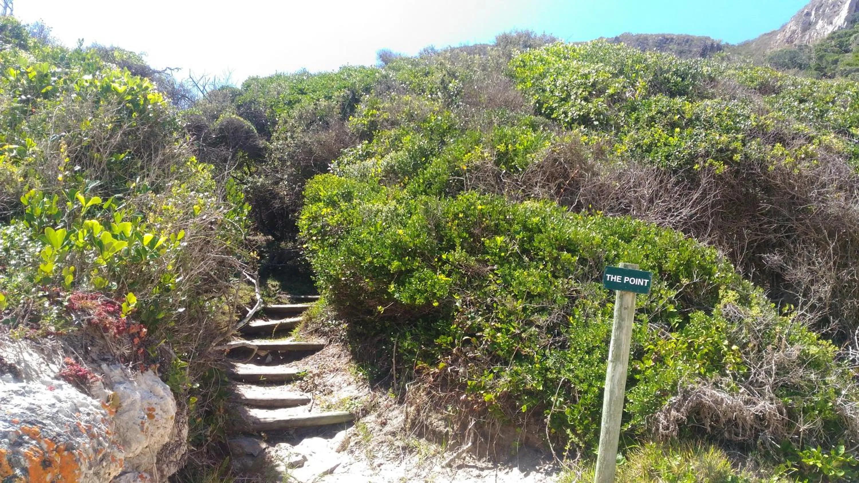 Nearby landmark in Lily Pond Country Lodge