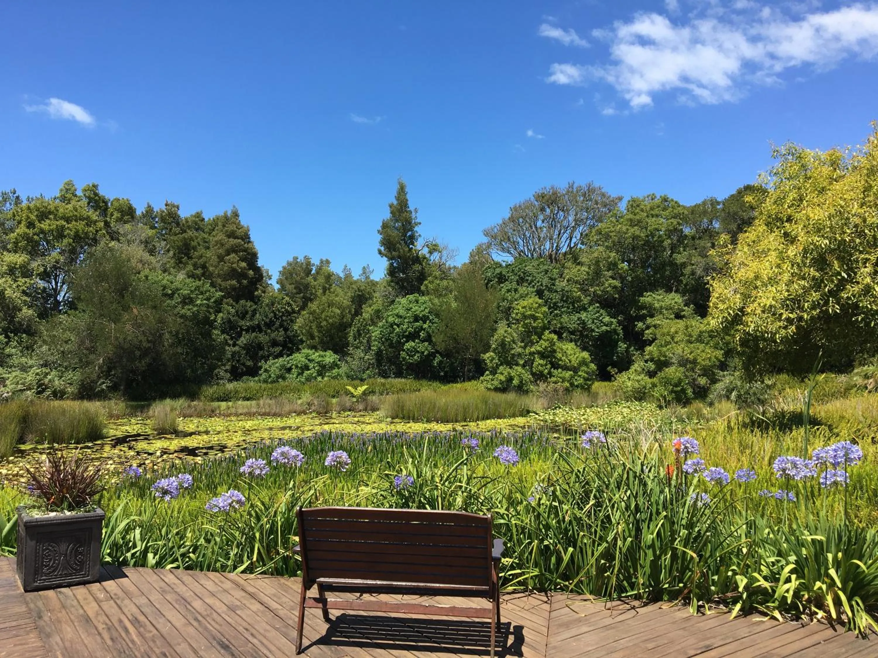 Patio in Lily Pond Country Lodge