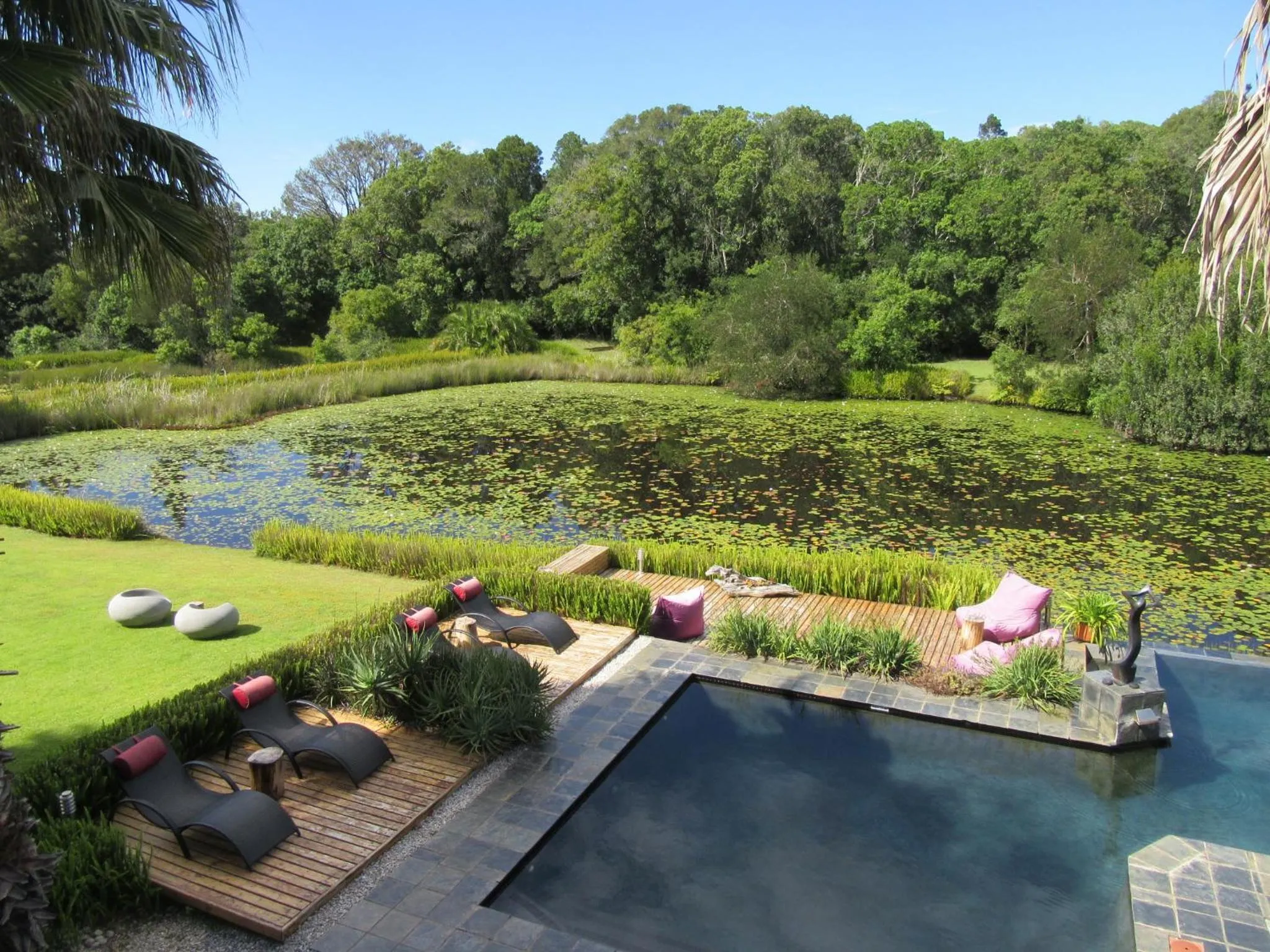 Garden view in Lily Pond Country Lodge