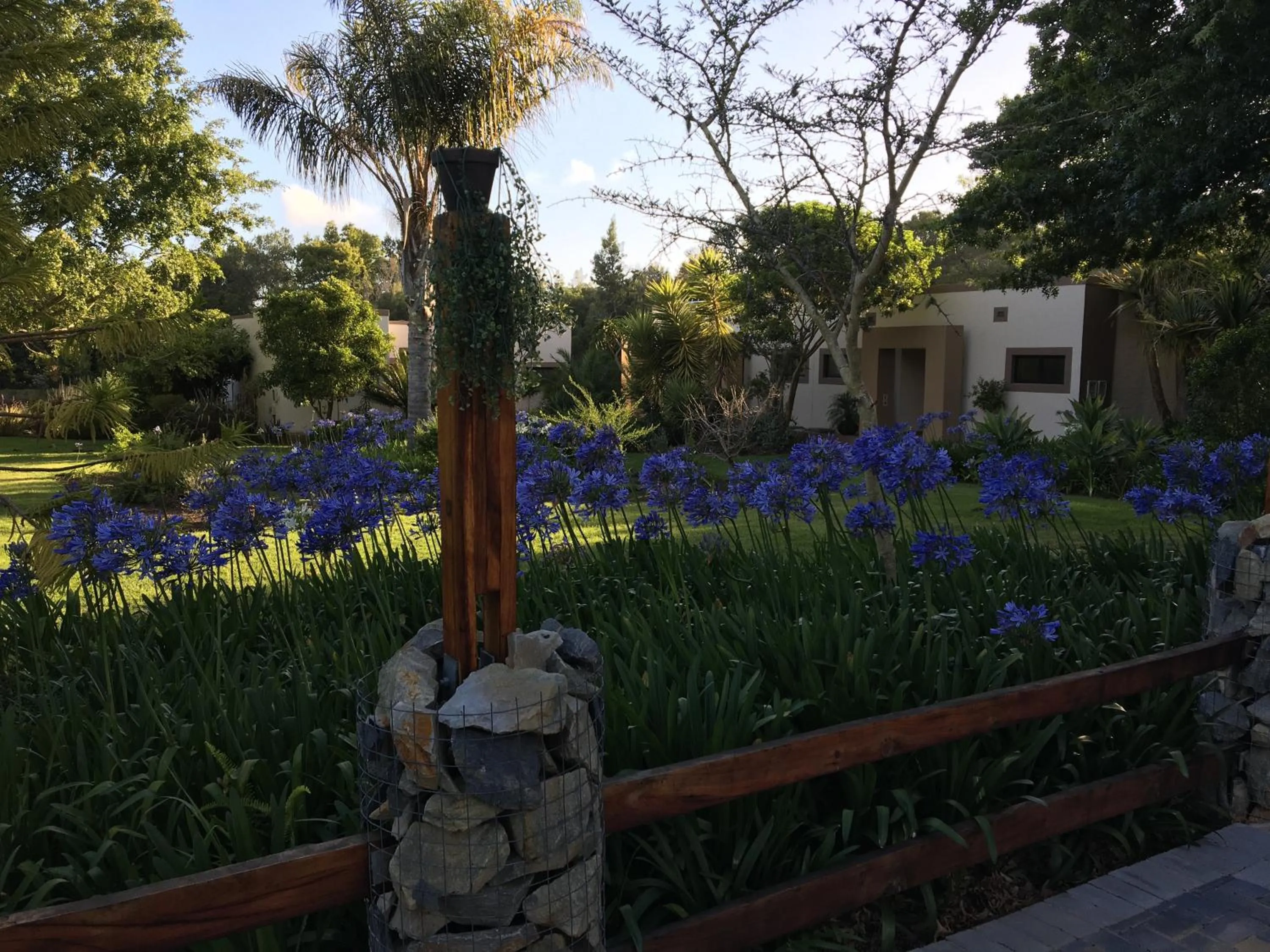Natural landscape in Lily Pond Country Lodge