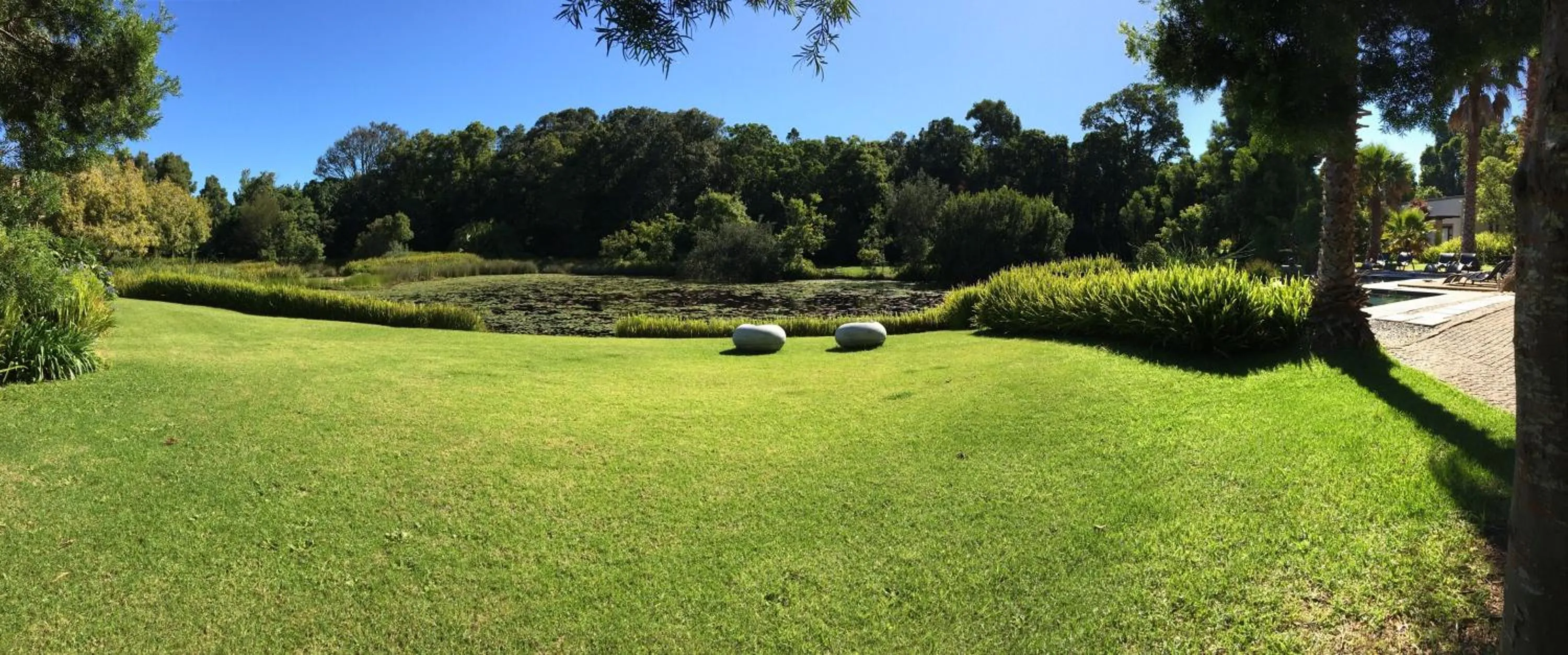 Natural landscape in Lily Pond Country Lodge