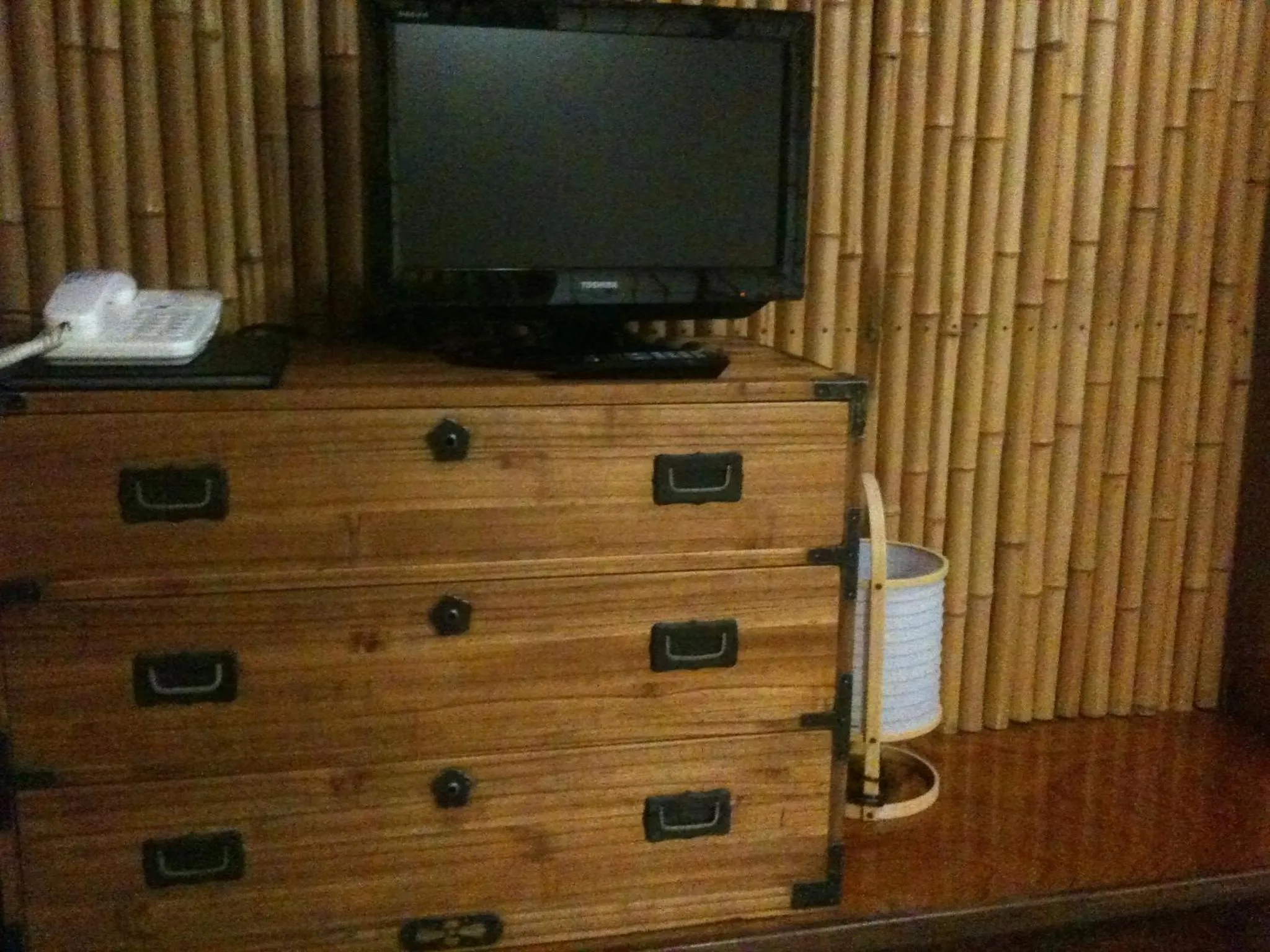 TV and multimedia in Kamesei Ryokan