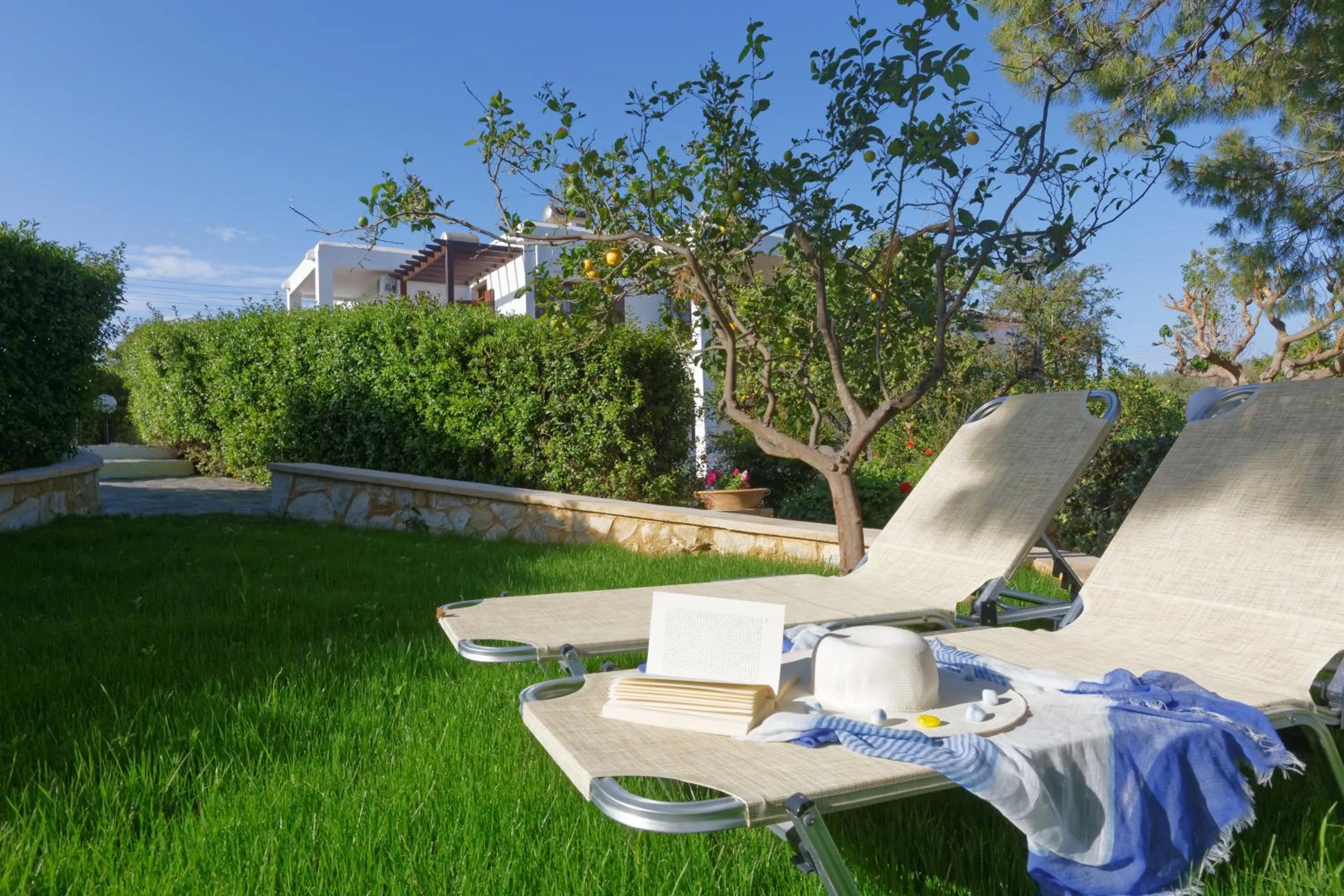 Garden in Alianthos Suites