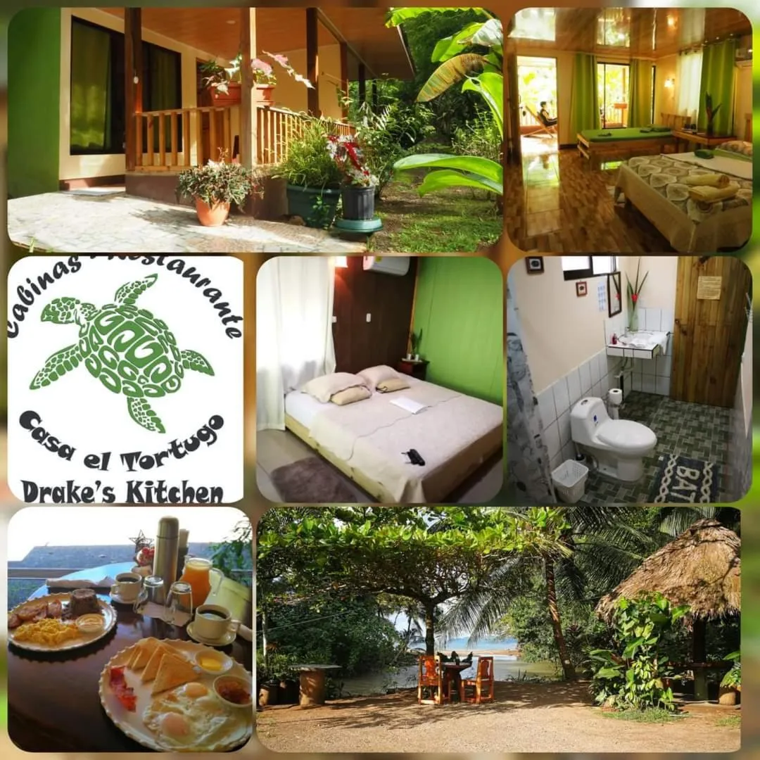 Restaurant/places to eat in Casa el Tortugo