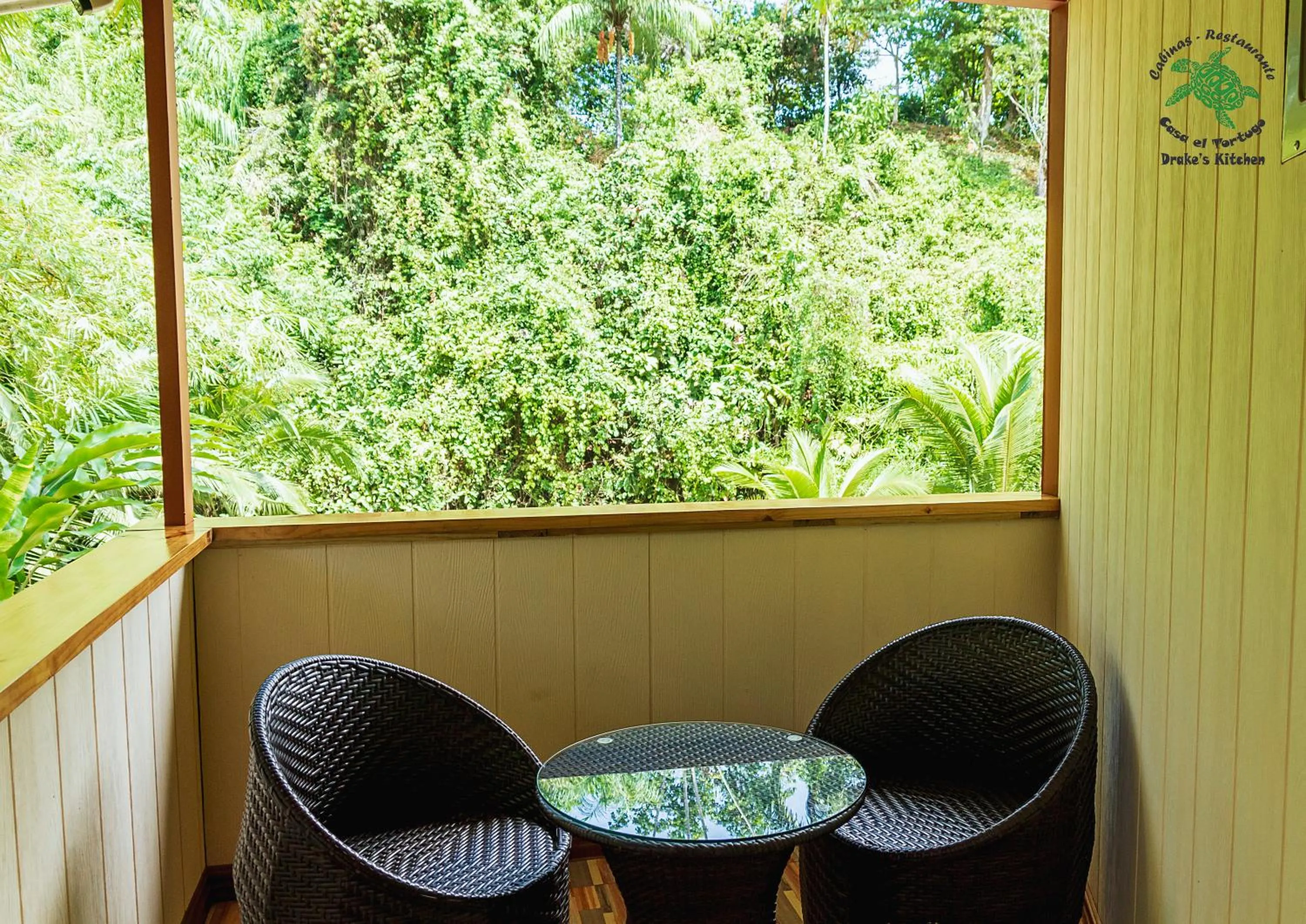 Day in Casa el Tortugo