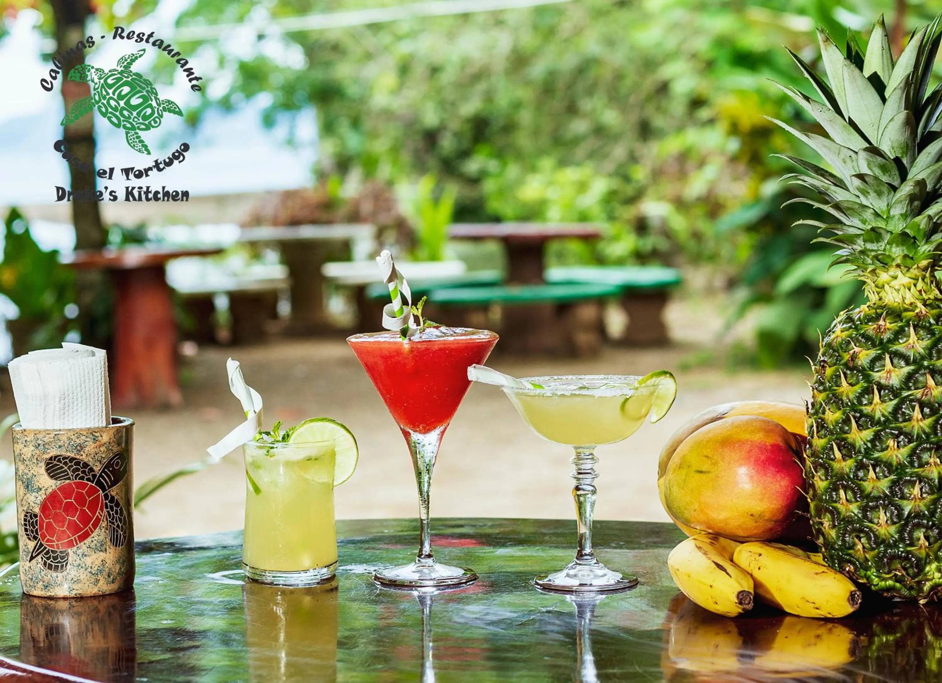 Day in Casa el Tortugo