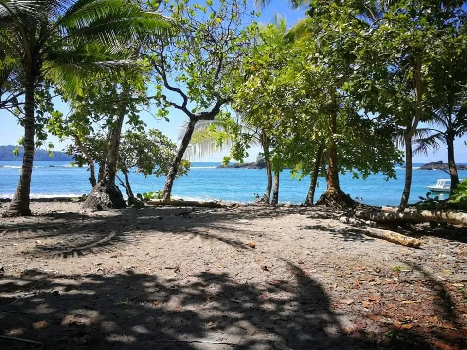 Natural landscape in Casa el Tortugo