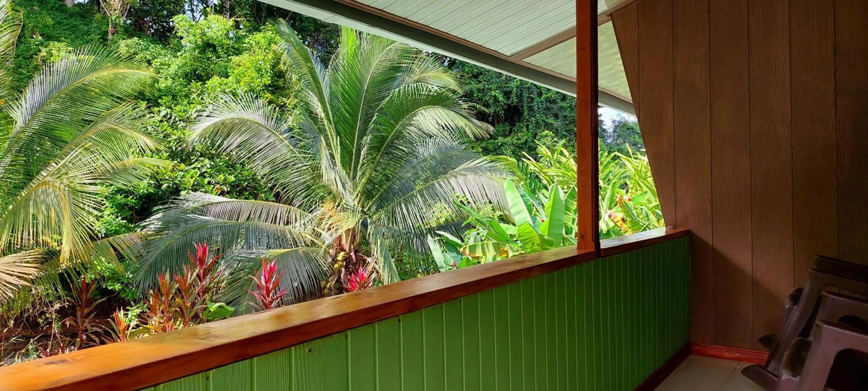 Garden in Casa el Tortugo