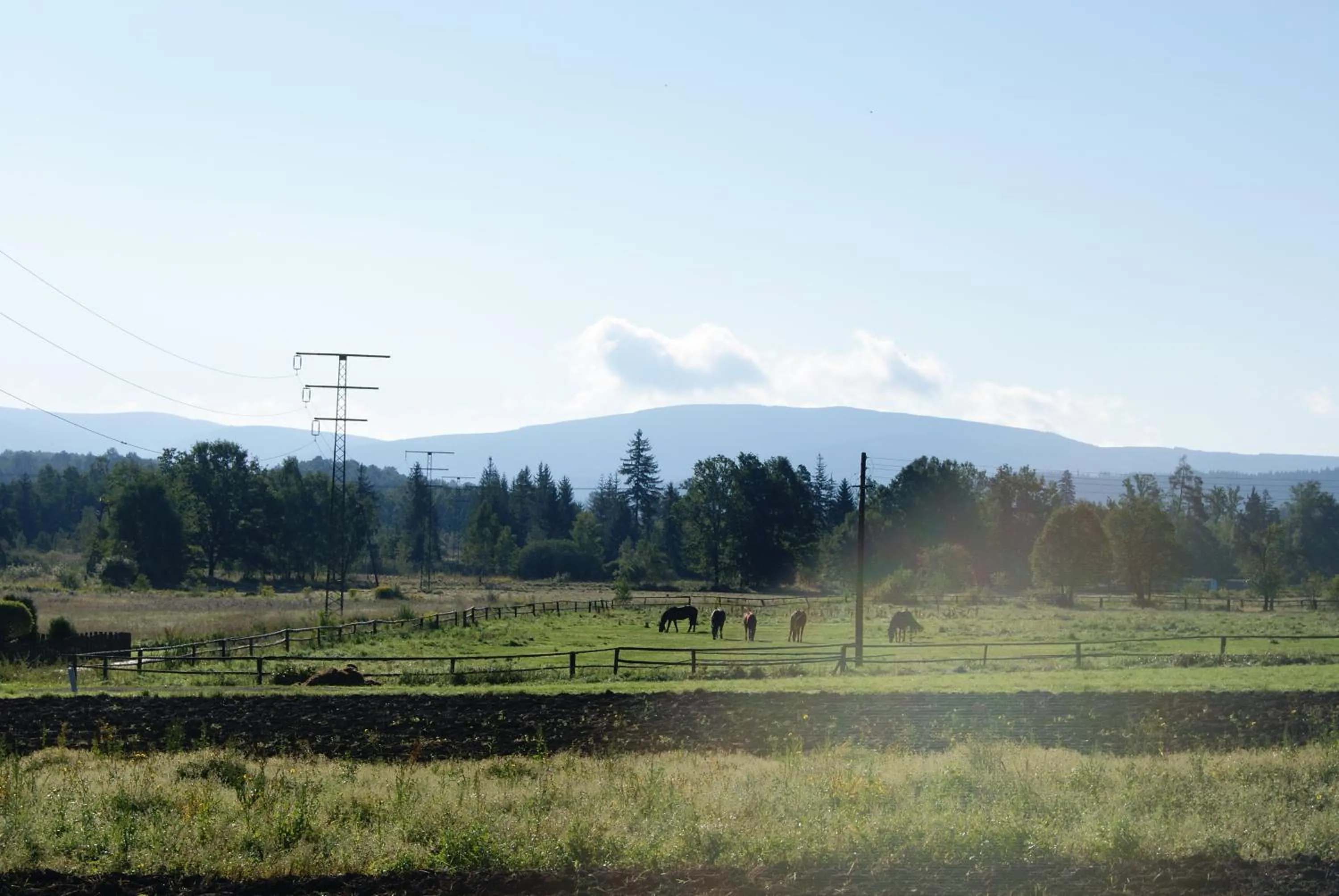 Area and facilities in Rezydencja Villa Nova