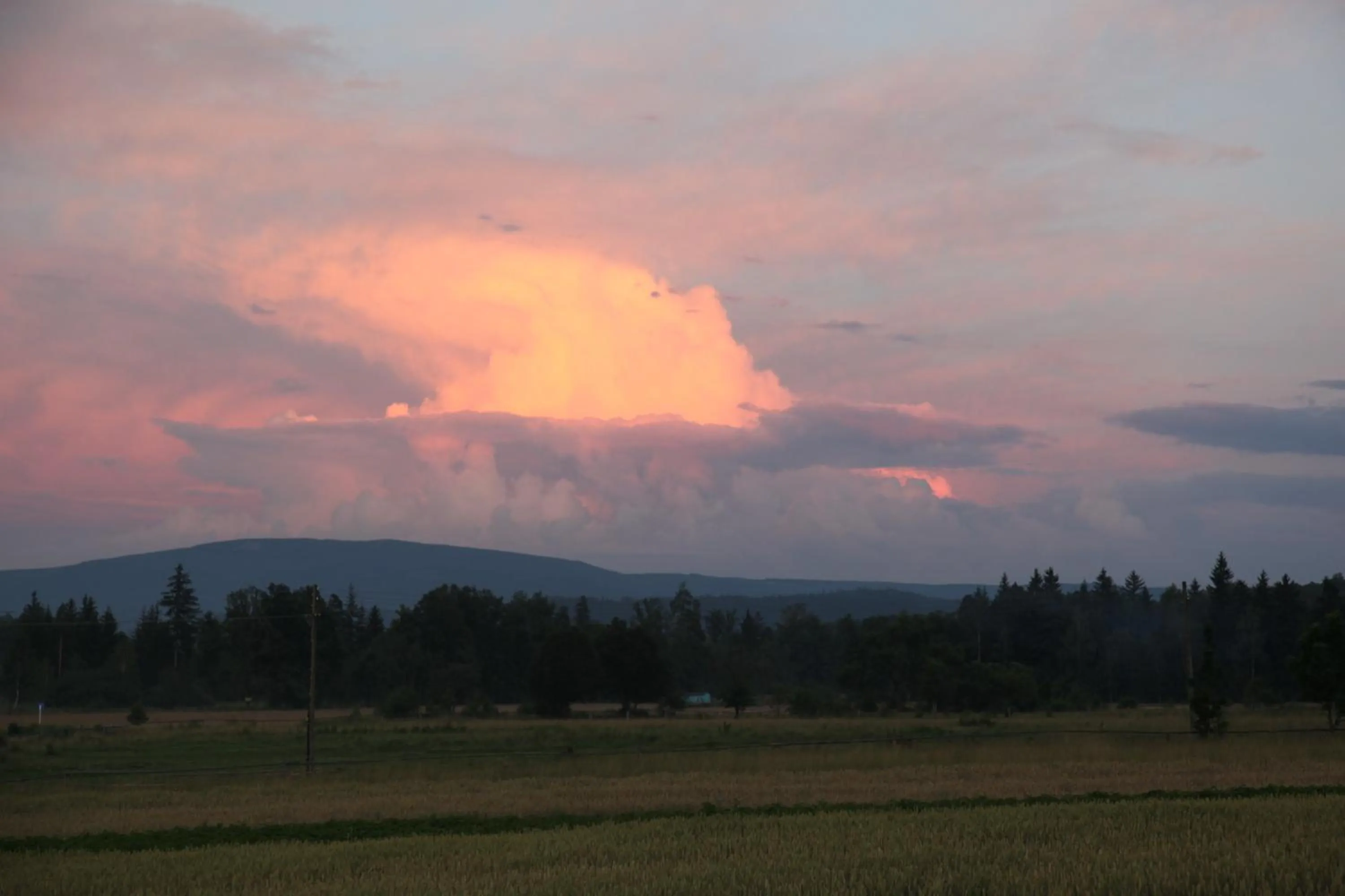 Area and facilities in Rezydencja Villa Nova