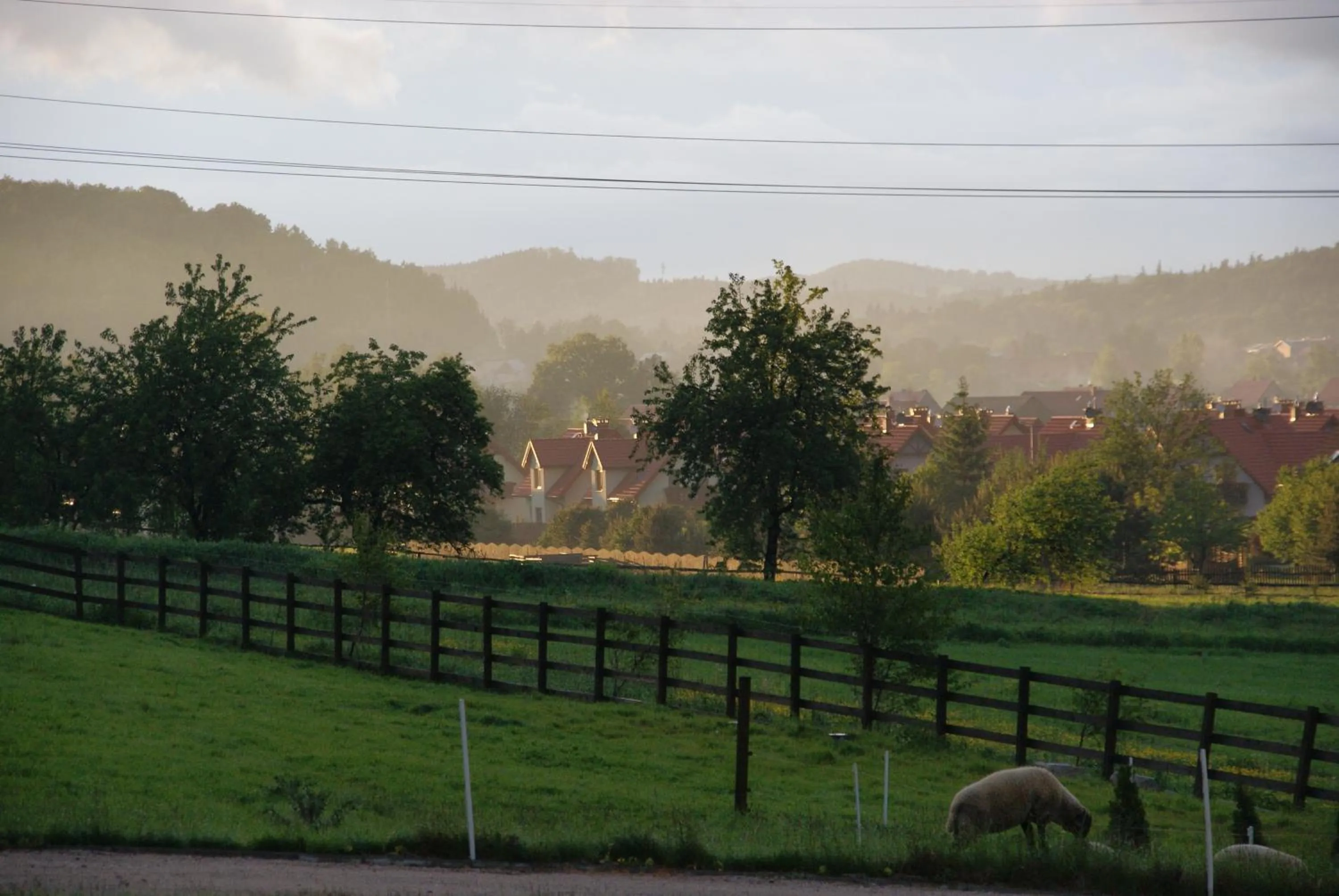 Garden in Rezydencja Villa Nova