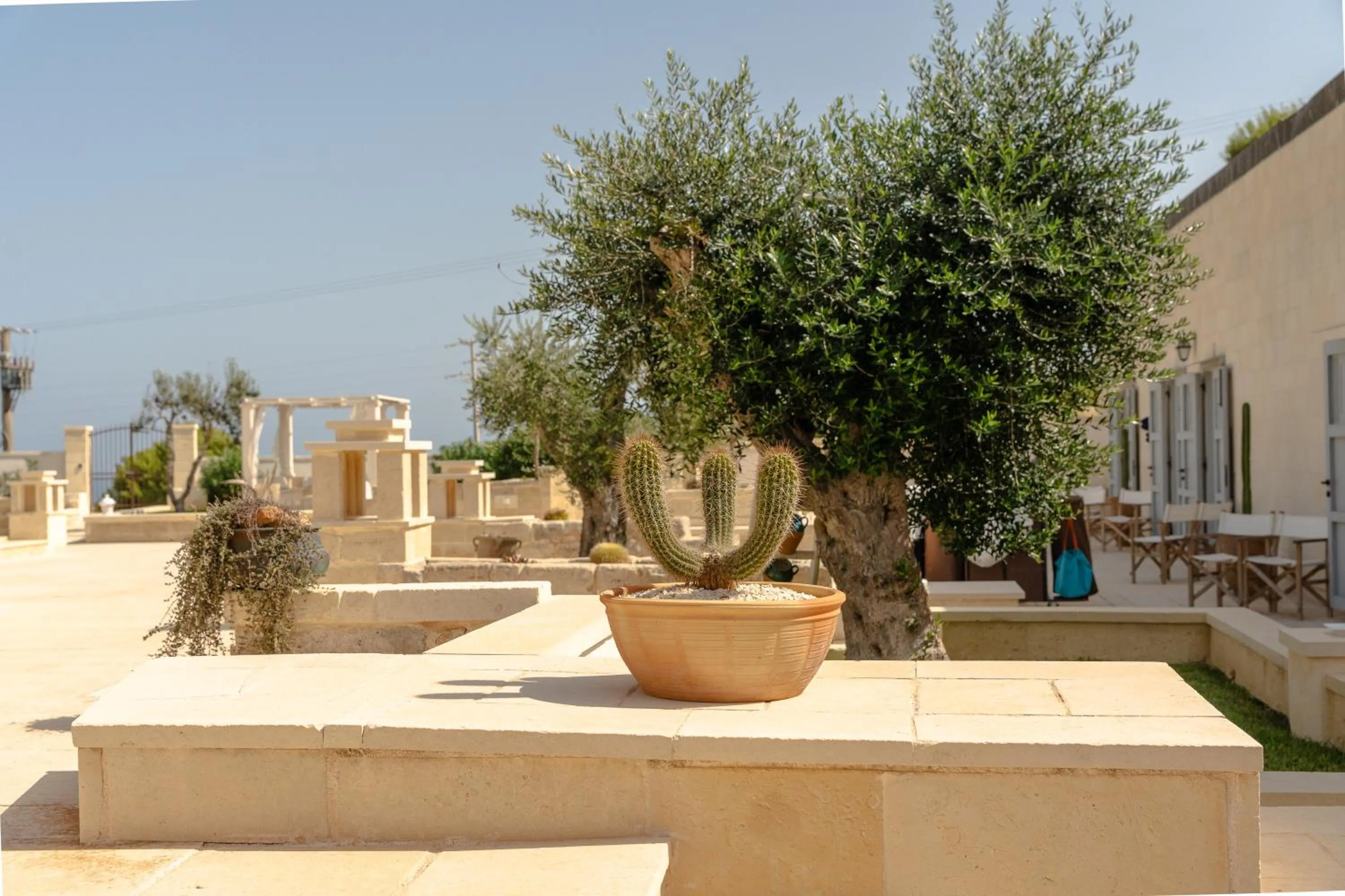 Garden in Masseria dei Monaci