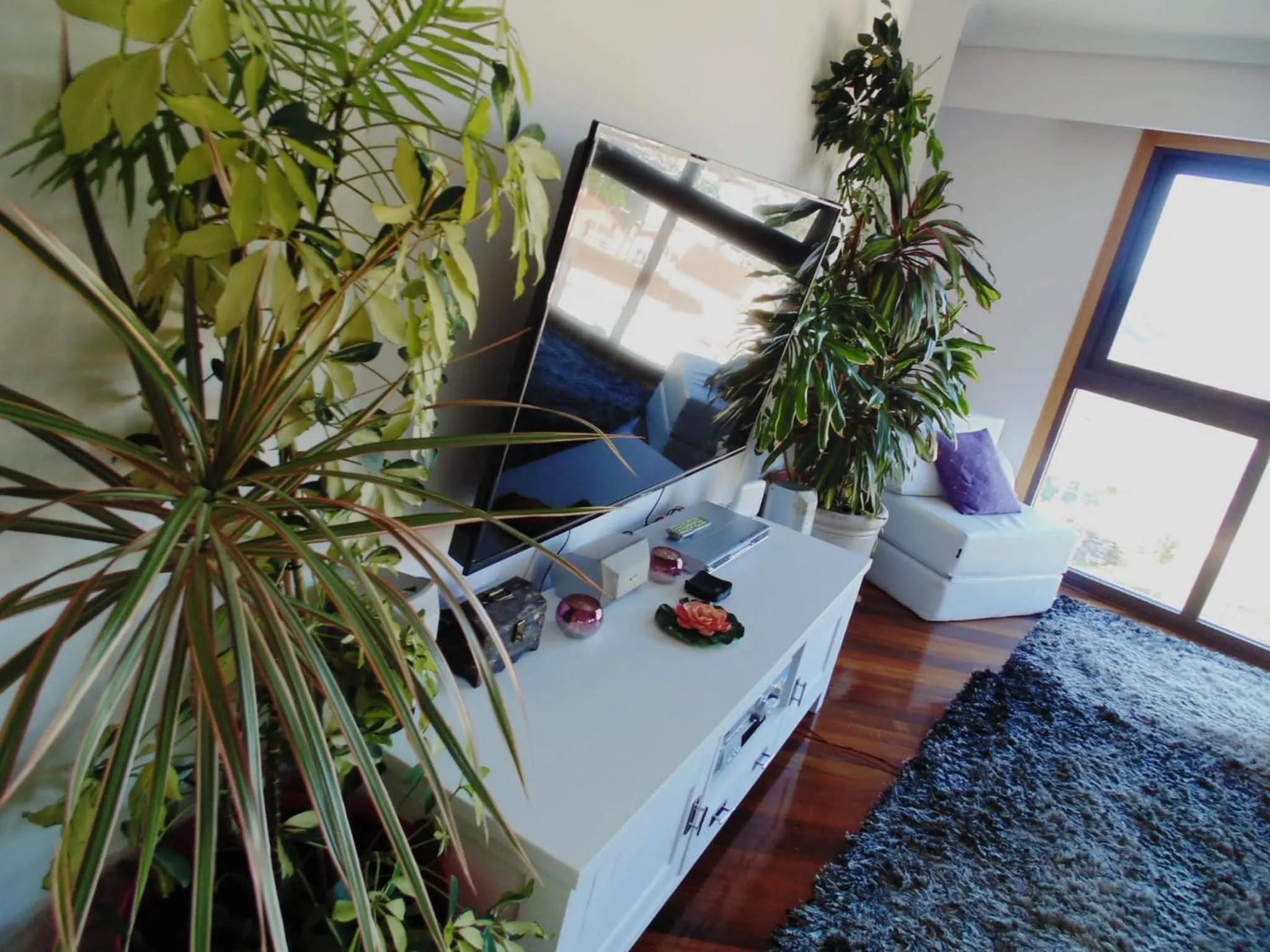 Lounge or bar in Duplex grandes cristaleras impresionantes vistas