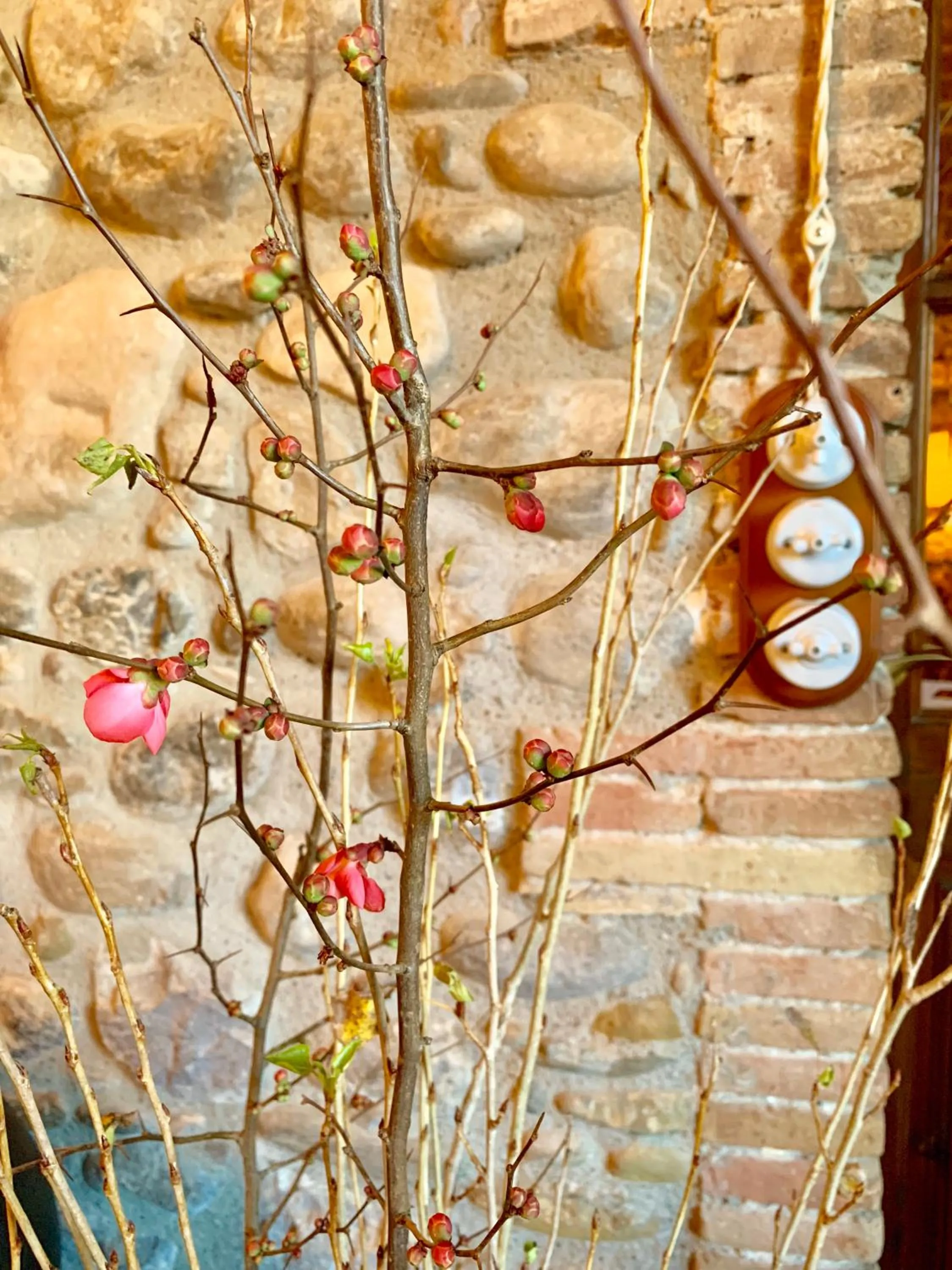 Hotel Masia La Palma