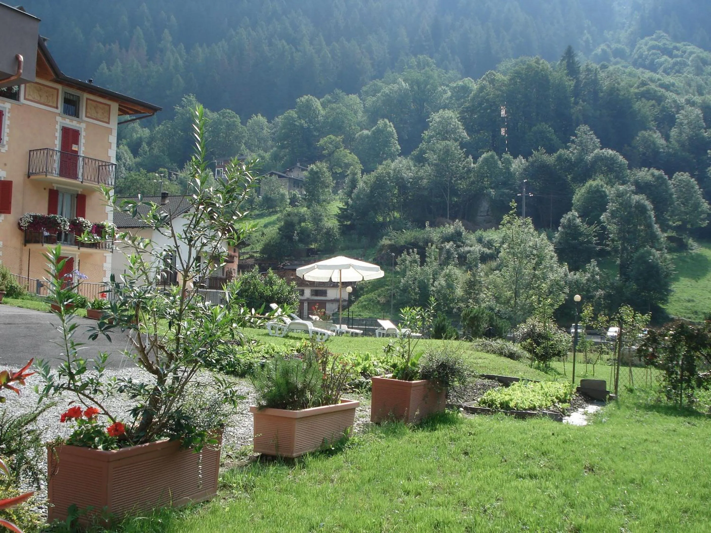Garden in Hotel Pedretti