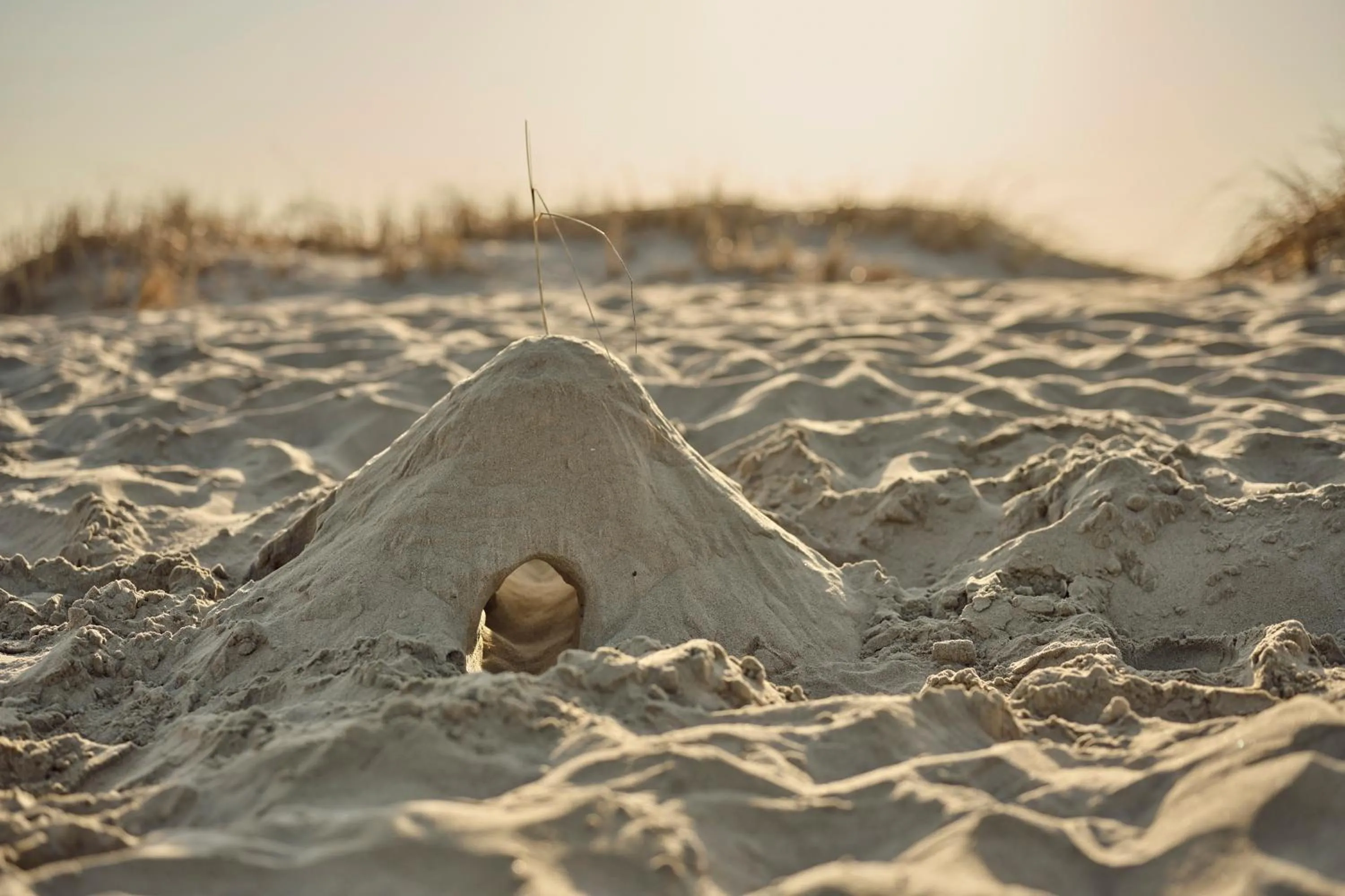 Day in Sola Strand Hotel