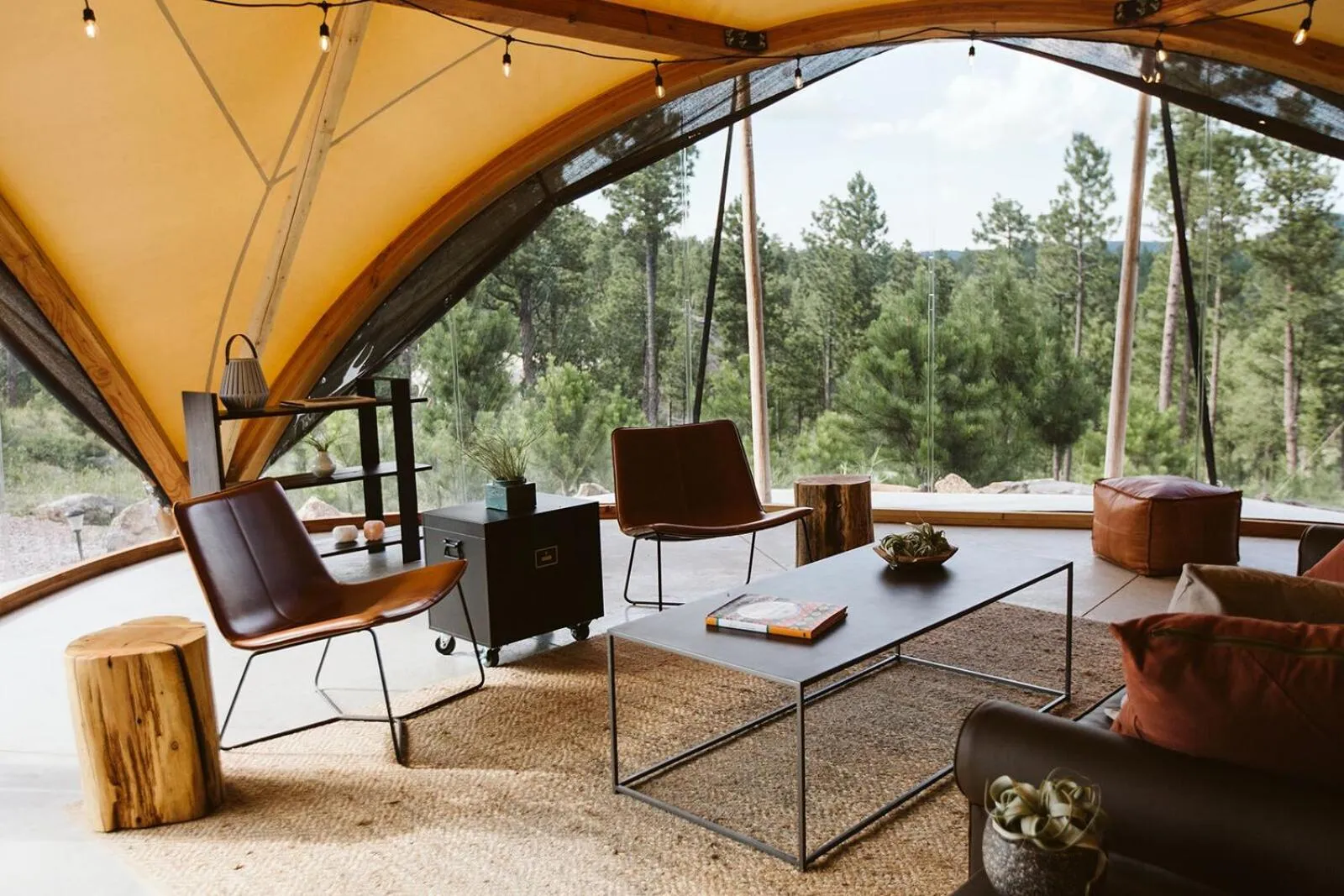 Lobby or reception in Under Canvas Mount Rushmore