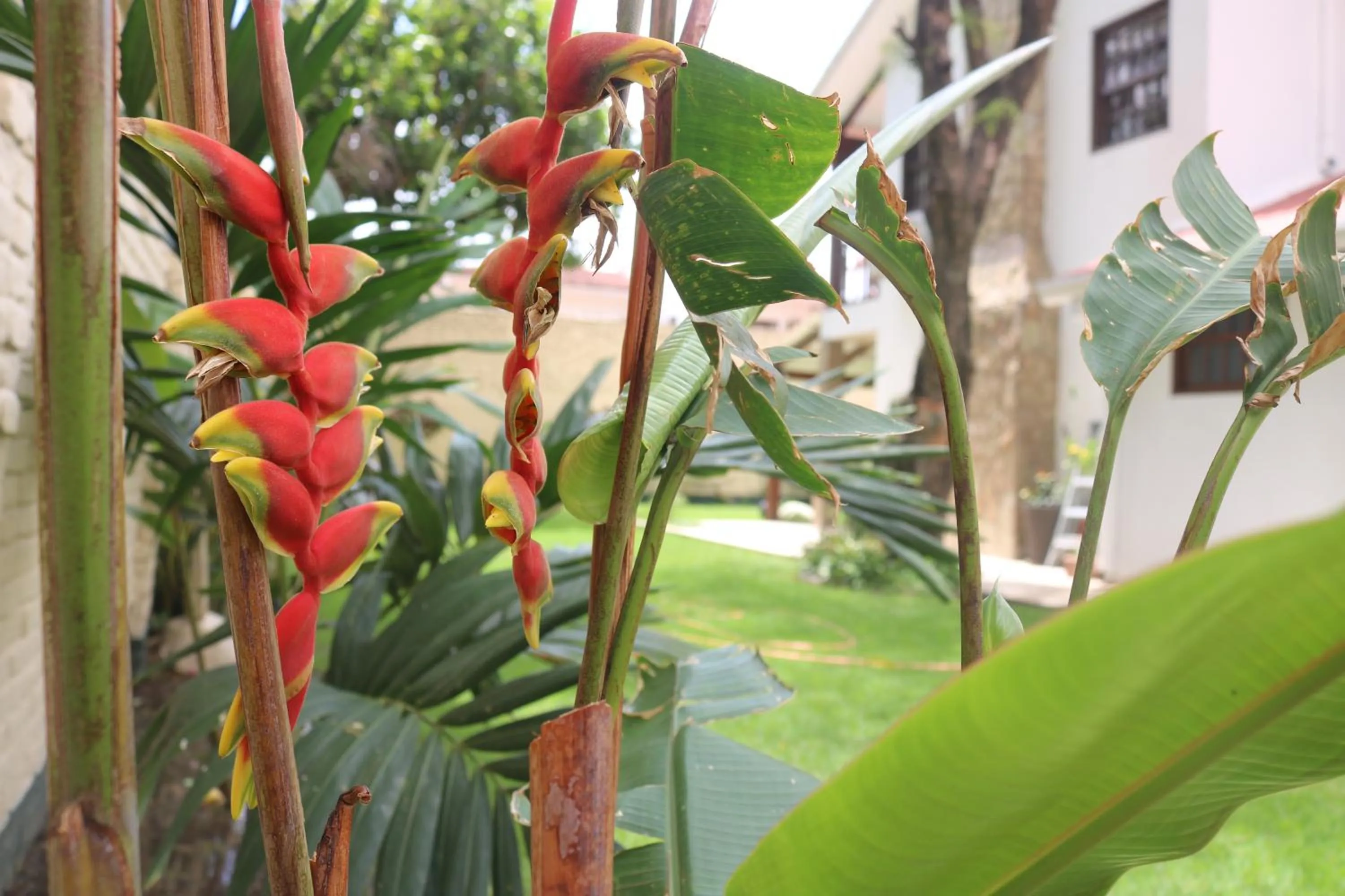 Spring in Hotel By Armonía Santa Cruz