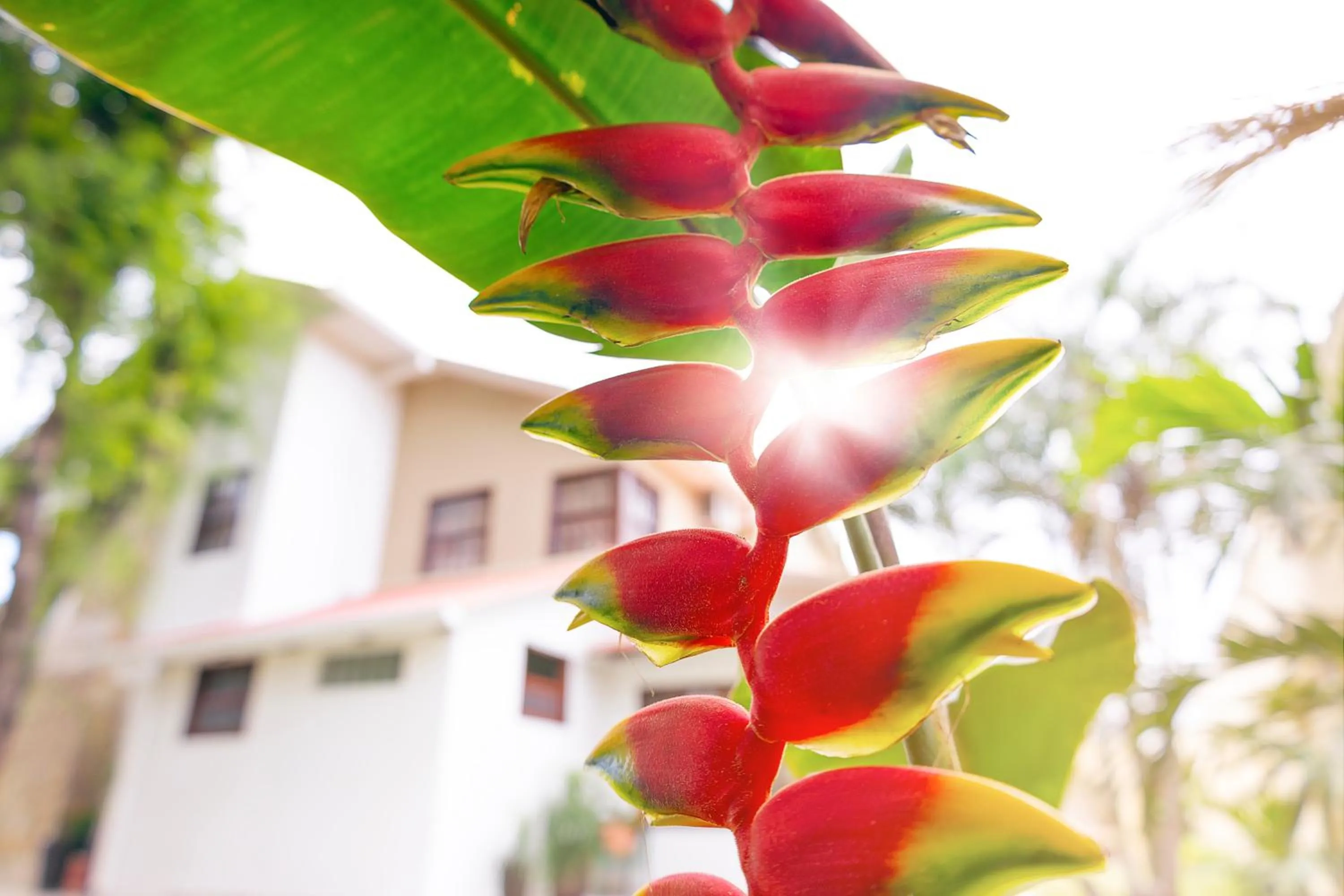 Natural landscape in Hotel By Armonía Santa Cruz