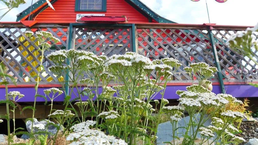 Mountain Thyme Getaway