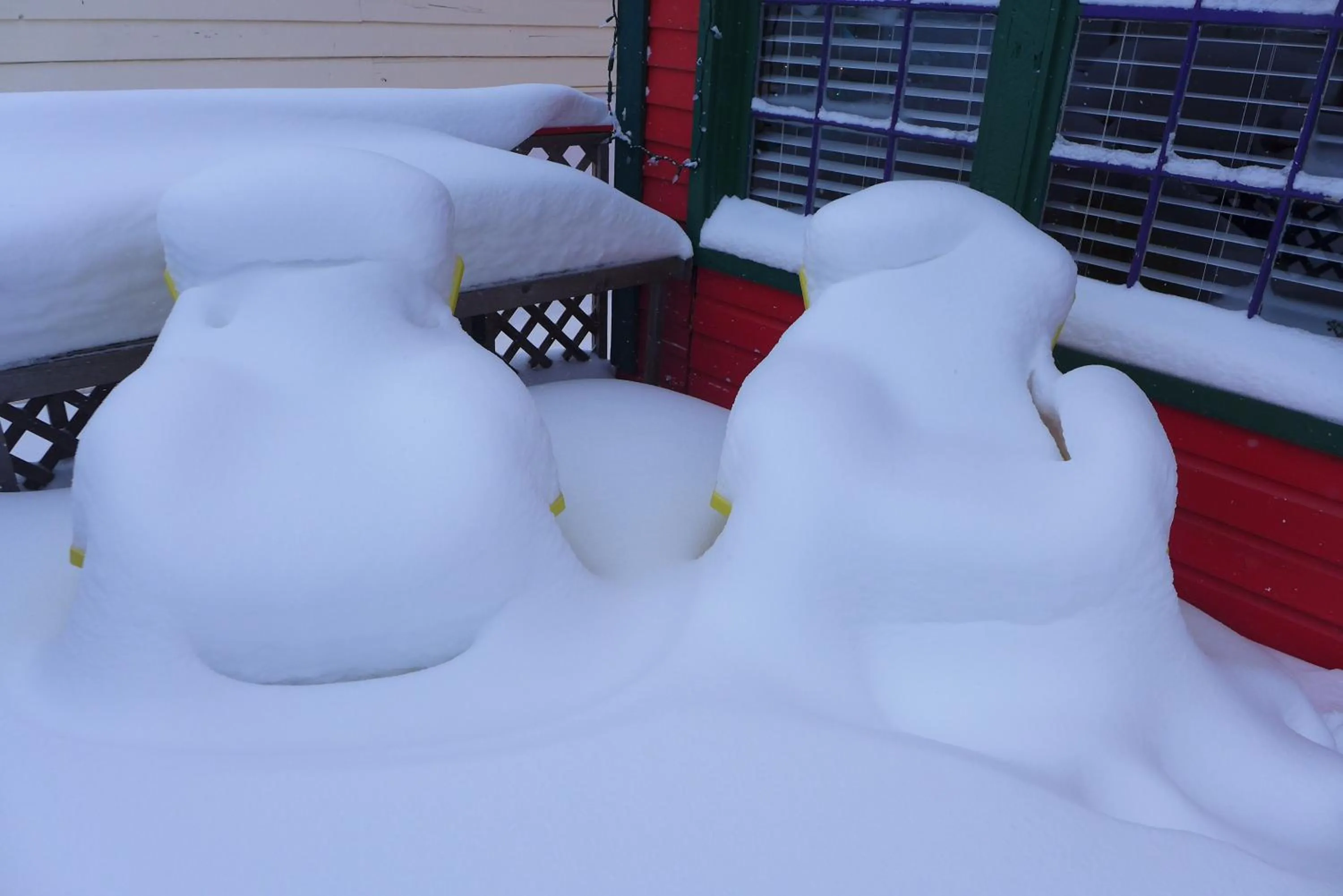 Mountain Thyme Getaway