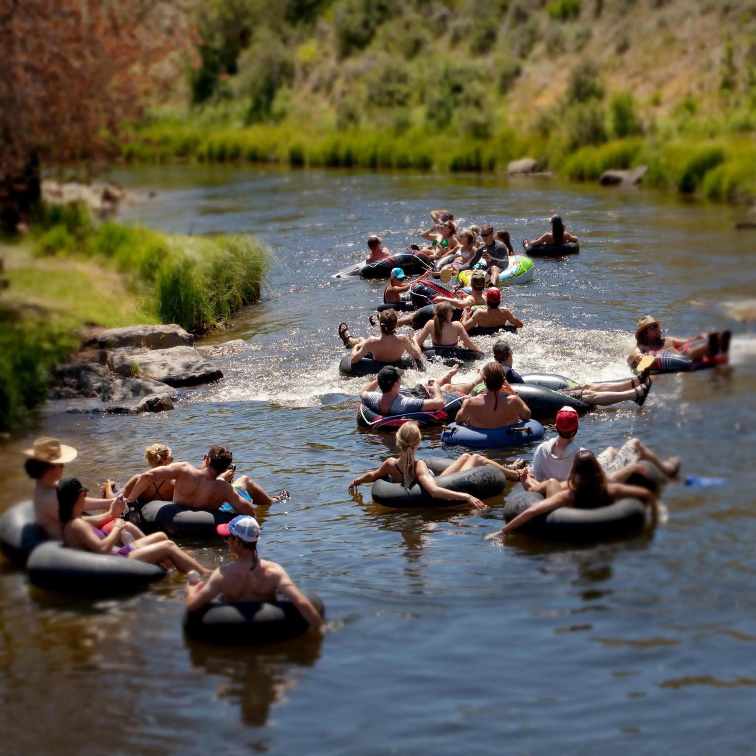 Natural landscape in Rustic Inn Creekside